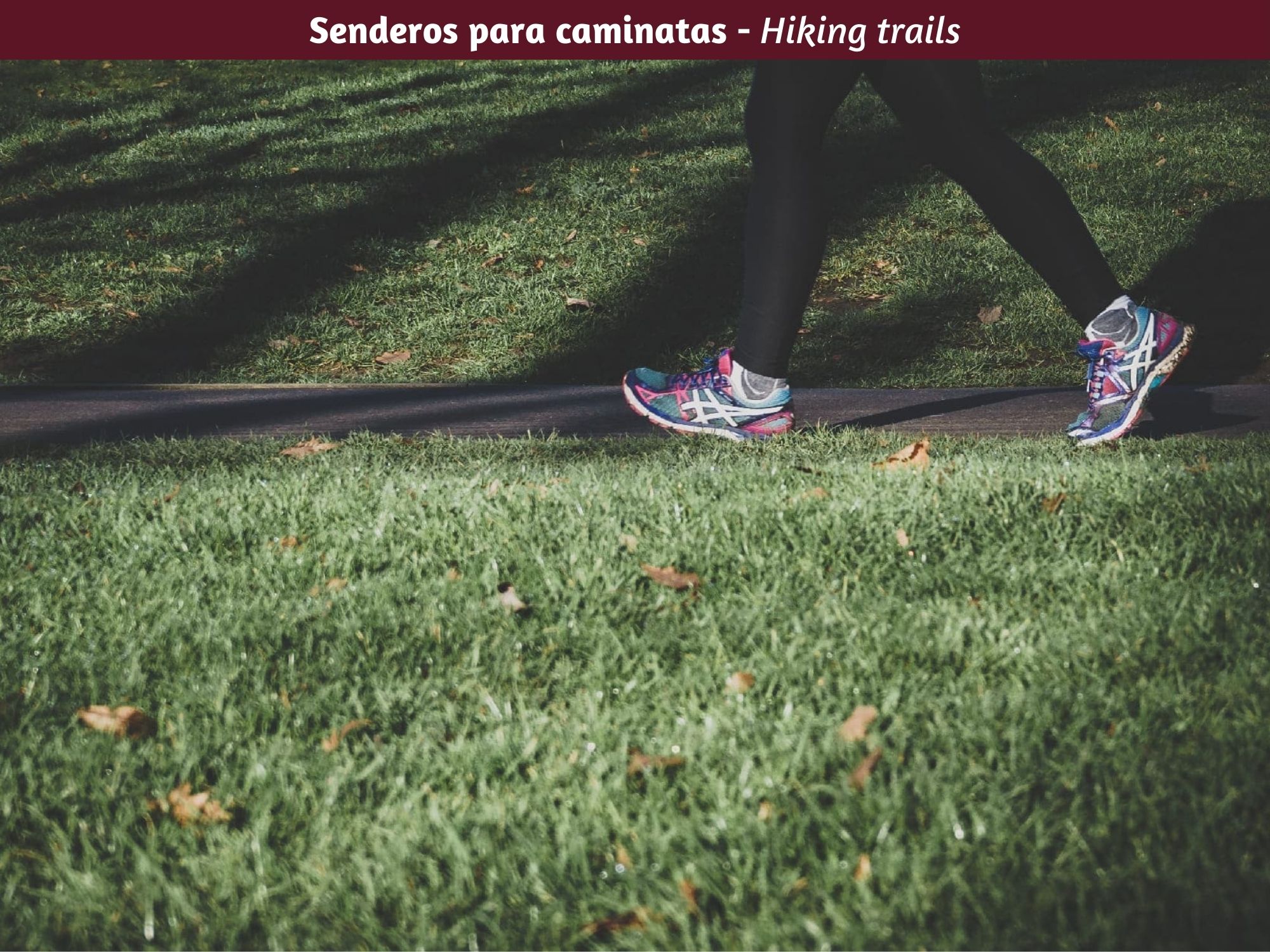 Lot in gated community, clubhouse, pool for sale in San Miguel de Allende