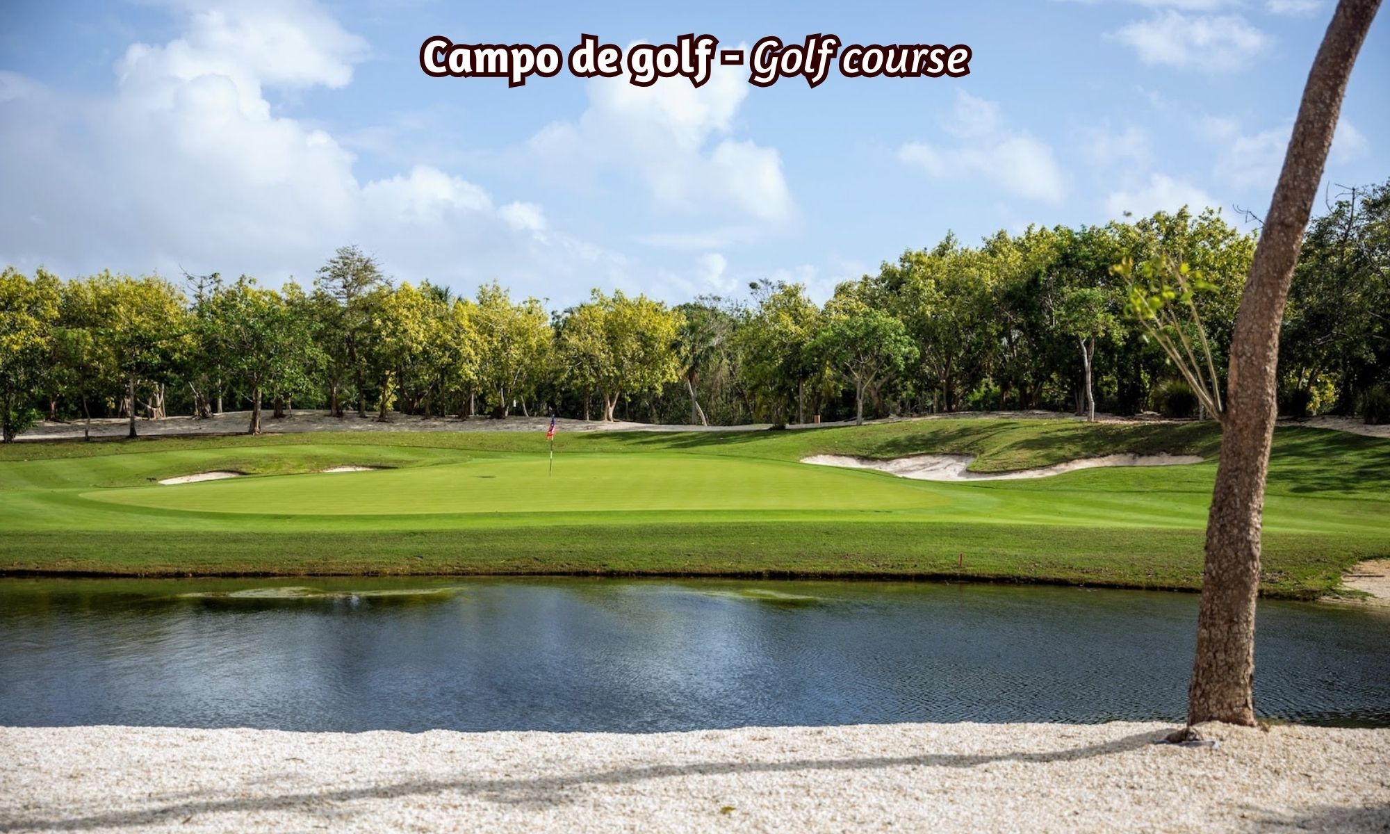 Golf course condominium, with clubhouse, cenotes, beach club, recreational parks, pre-construction for sale Playa del Carmen.