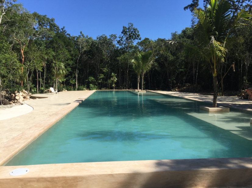 Penthouse green views,private terrace, gym, business center, yoga and gym area, with green areas, hammock garden, in Aldea Zama Tulum, for sale.