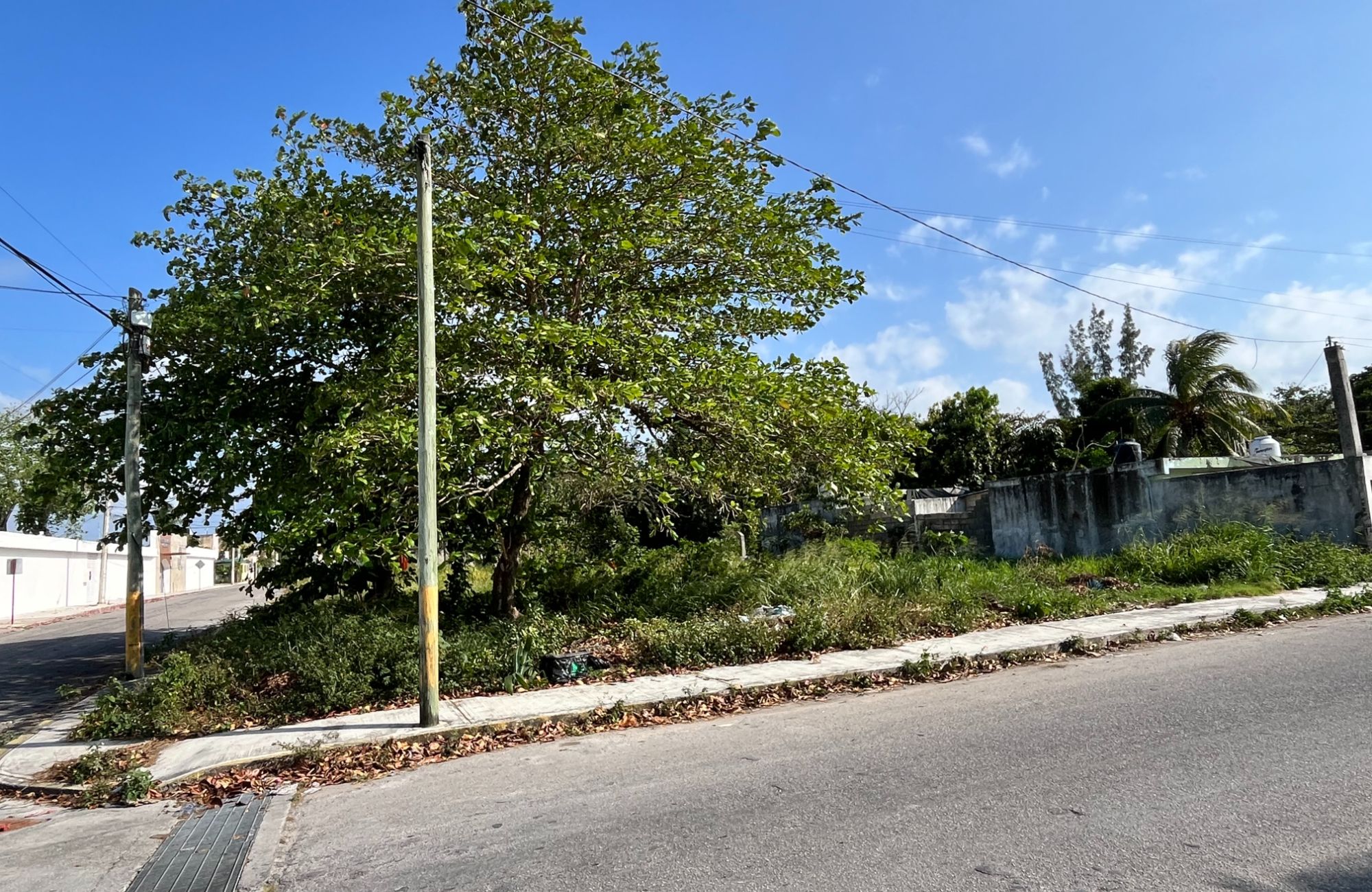 Opportunity: Land in Corpus Christi, Reduced Price, Excellent Location lot for sale