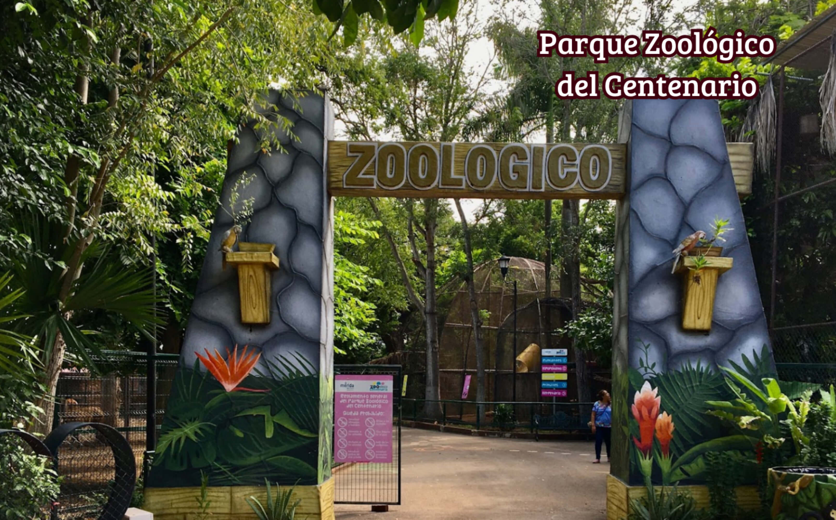 Residence with garden and private pool for sale, Yucat&aacute;n Country Club, M&eacute;rida