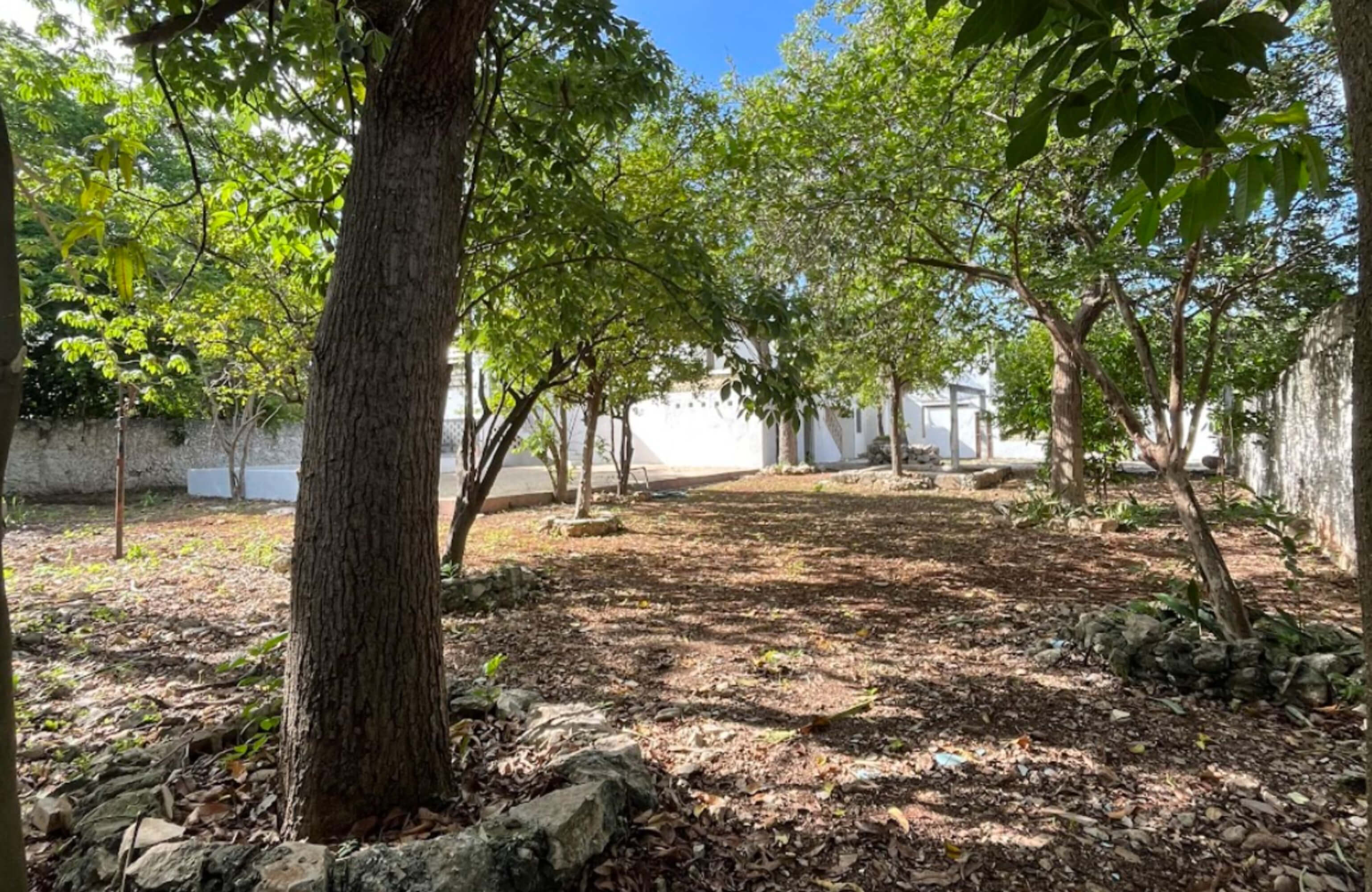 Residence with garden and private pool for sale, Yucat&aacute;n Country Club, M&eacute;rida