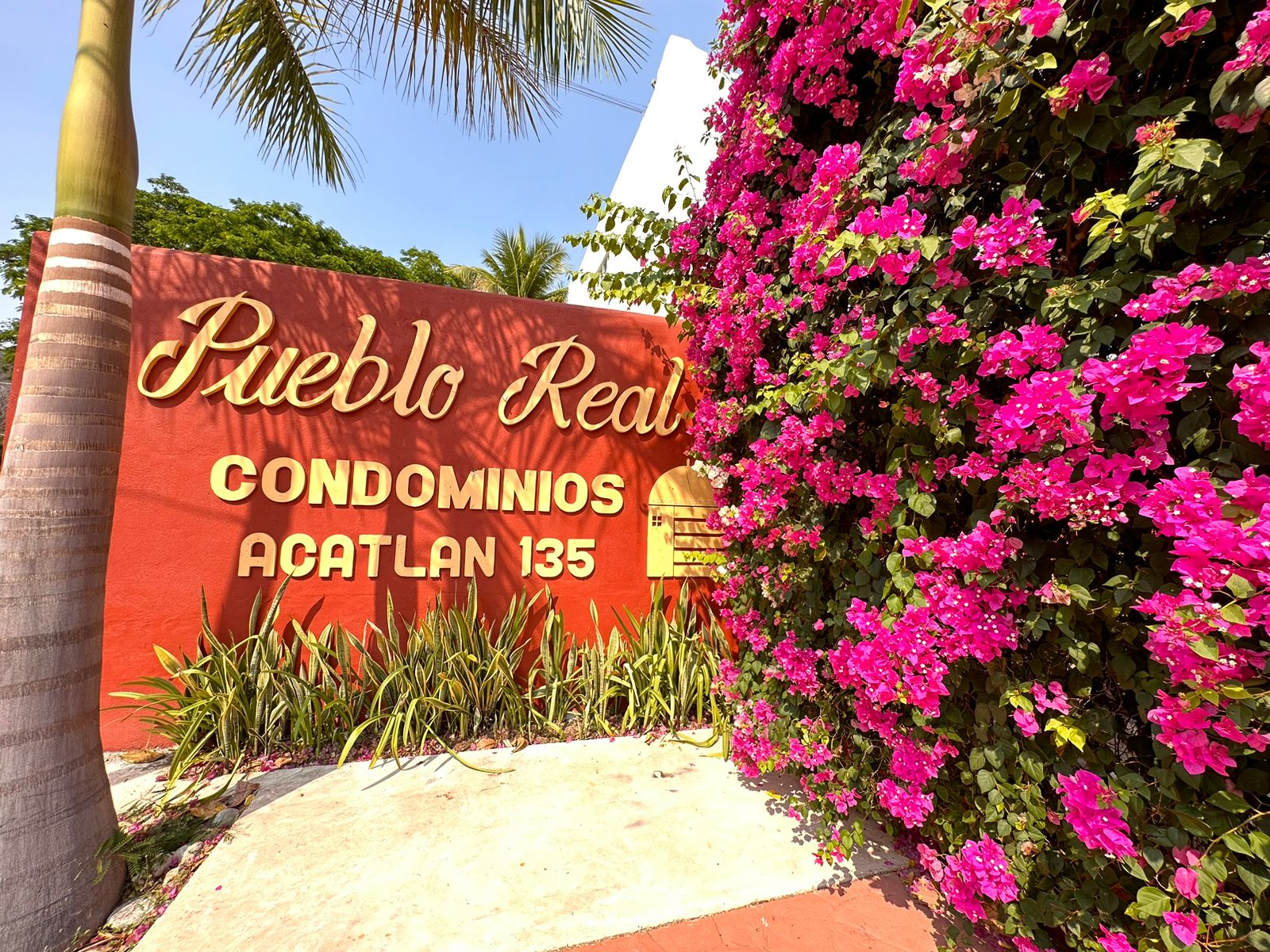 Apartment with private pool, ground floor, 5 minutes from the beach, 1 year membership to a private beach club with gym, pre construction.