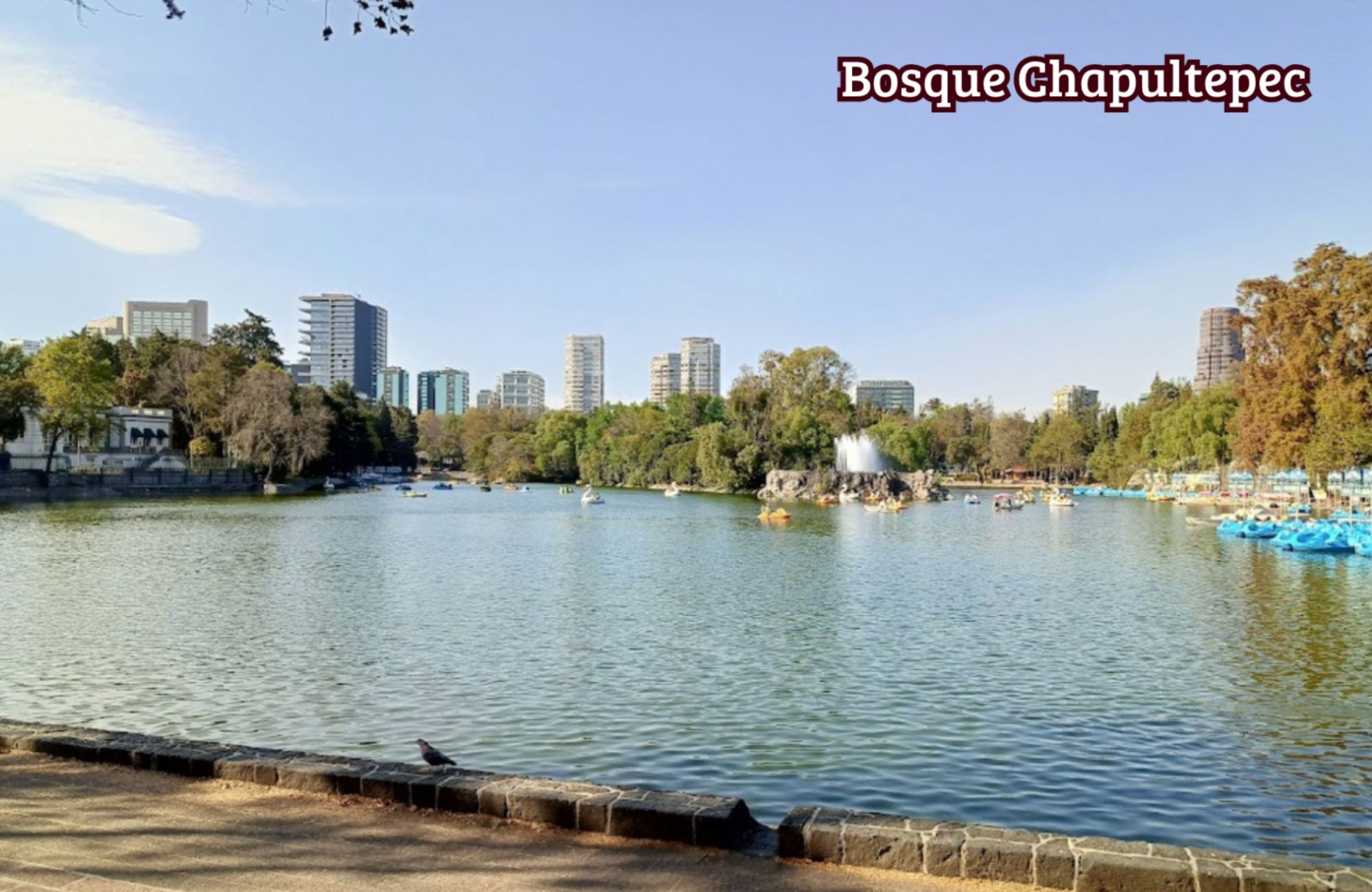 Apartment, prime location, for sale, Benito Ju&aacute;rez, Mexico City