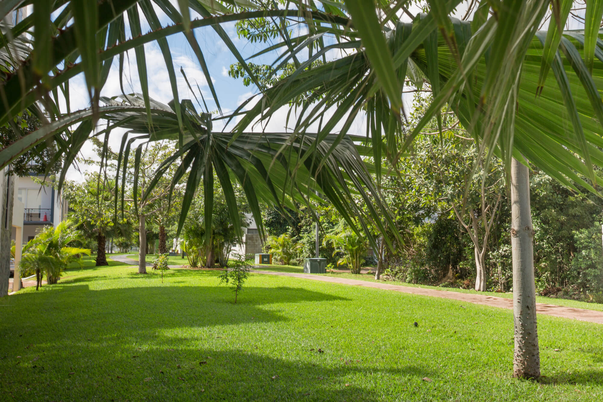 Condominium with pool, Co-work Space and Jacuzzi, pre-construction, for sale, Canc&uacute;n.