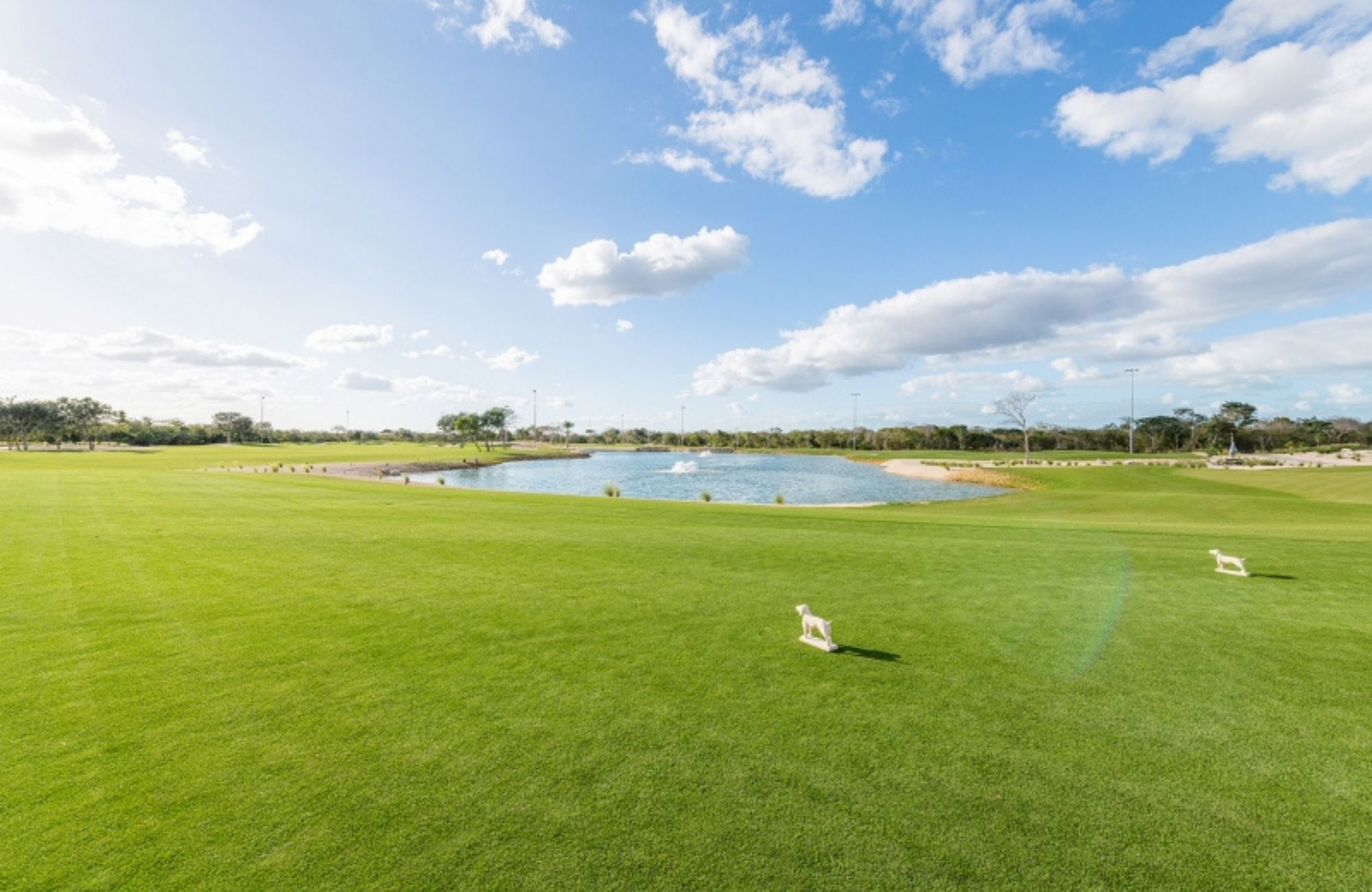 Land of 1,075 m2 i in a gated community with swimming pool, sports fields, pet park, games, spa, and much more amenities for sale in the Nor