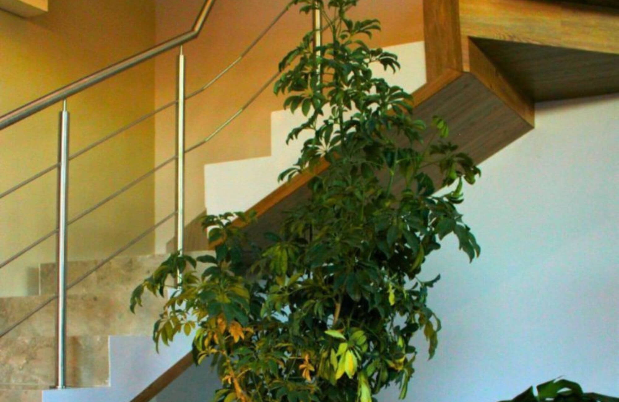 House with garden, terrace, Lago de Juriquilla, Quer&eacute;taro