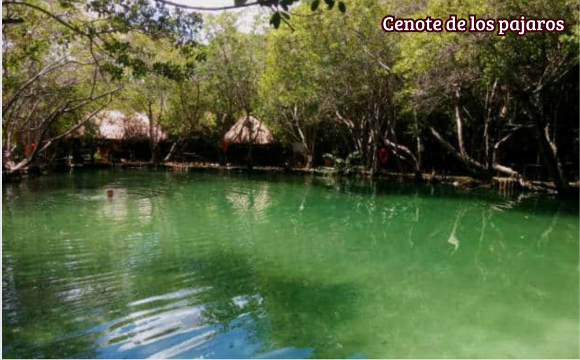 Sustainable apartment, green areas, pet-frienfly, pre-sale M&eacute;rida.