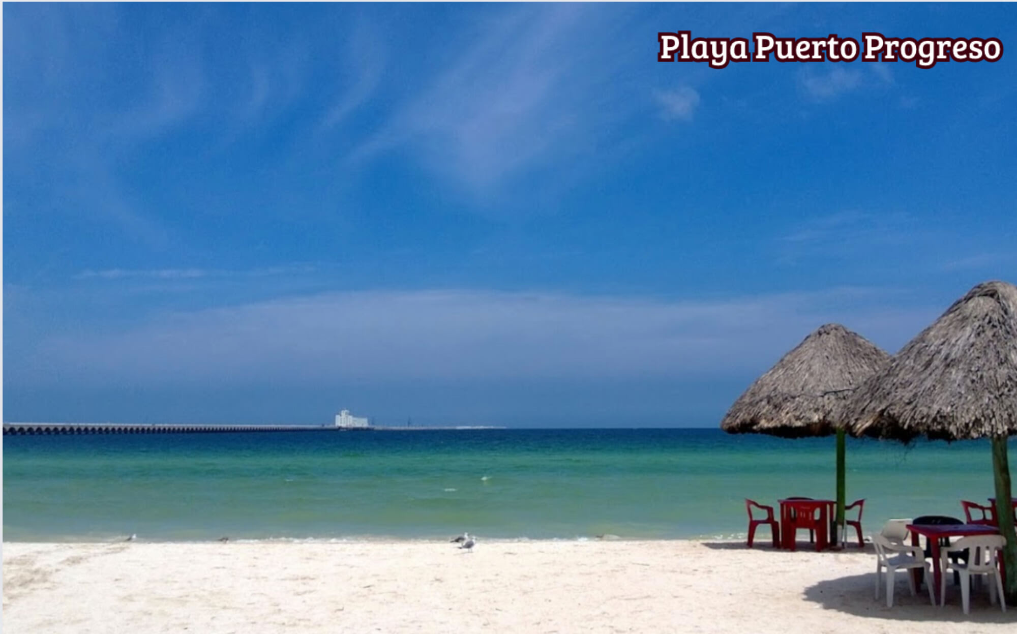 Apartment with ocean view pool and more amenities for sale San Crisanto Yucatan.