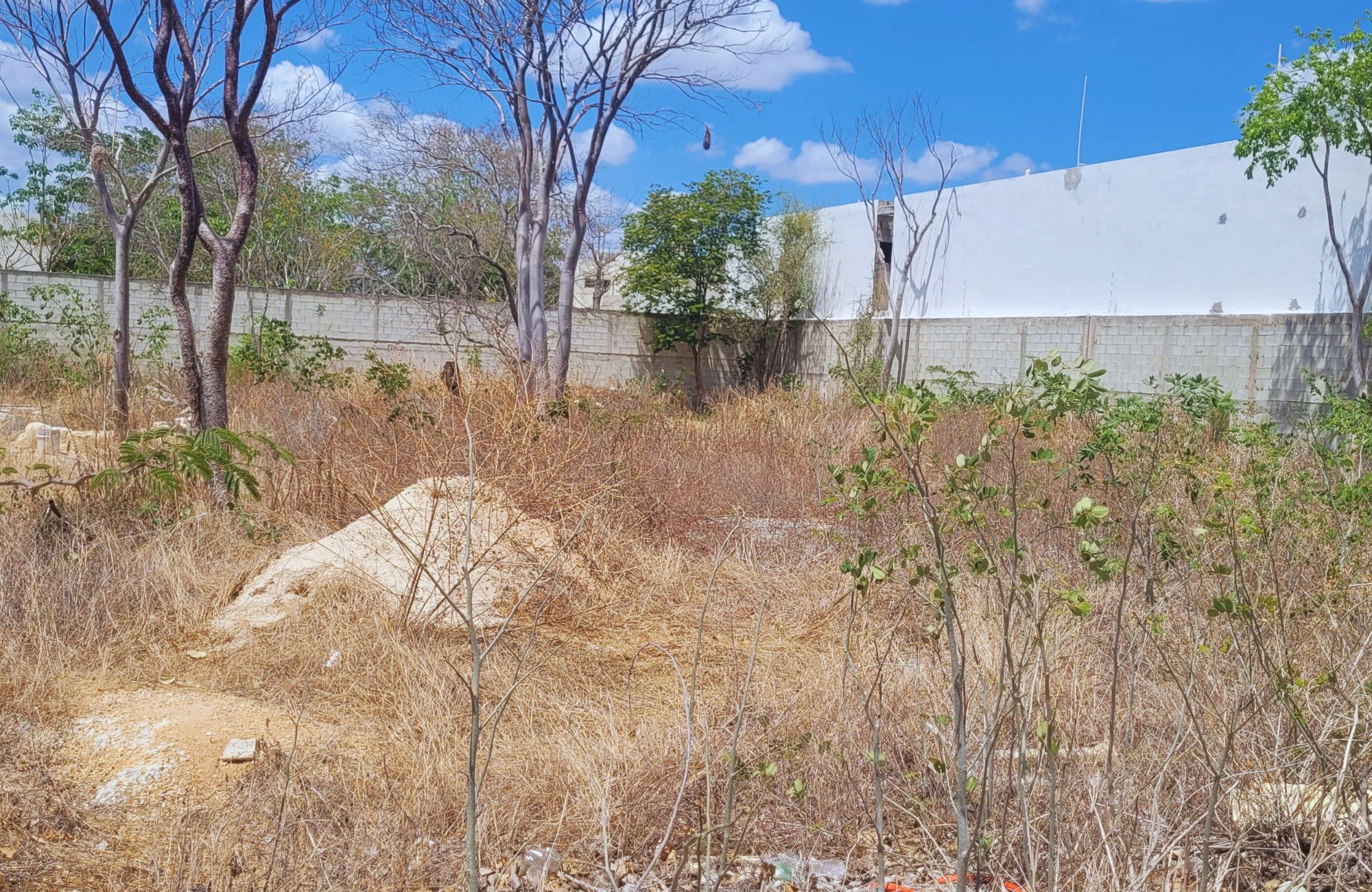 Lot in Gated Community with Amenities for Sale, Kikteil, M&eacute;rida