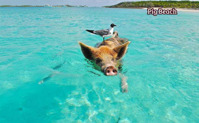 Condo with shared pool for sale, M&eacute;xico Norte, M&eacute;rida