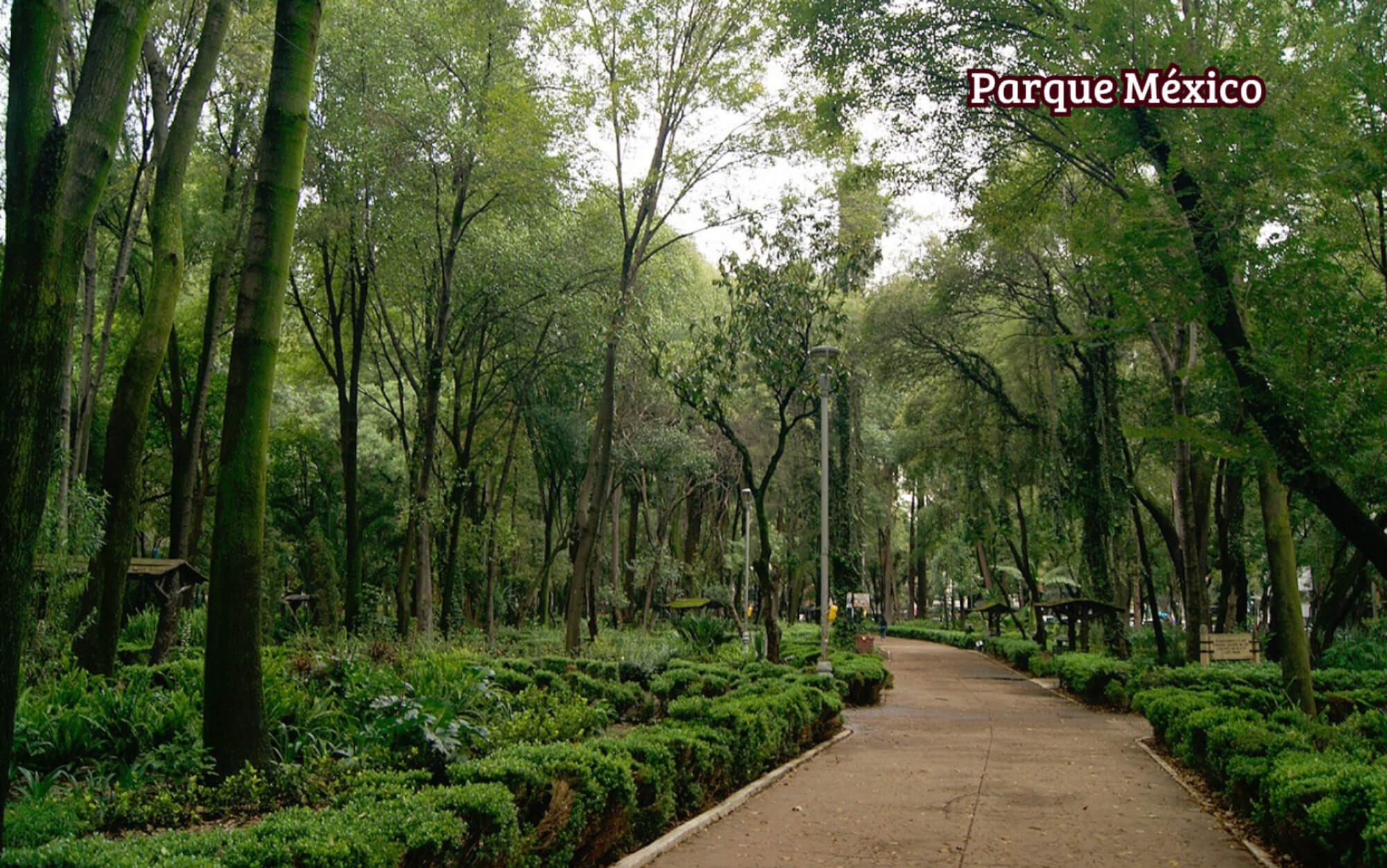 Condo with two terraces and TV room for sale, Polanco, CDMX