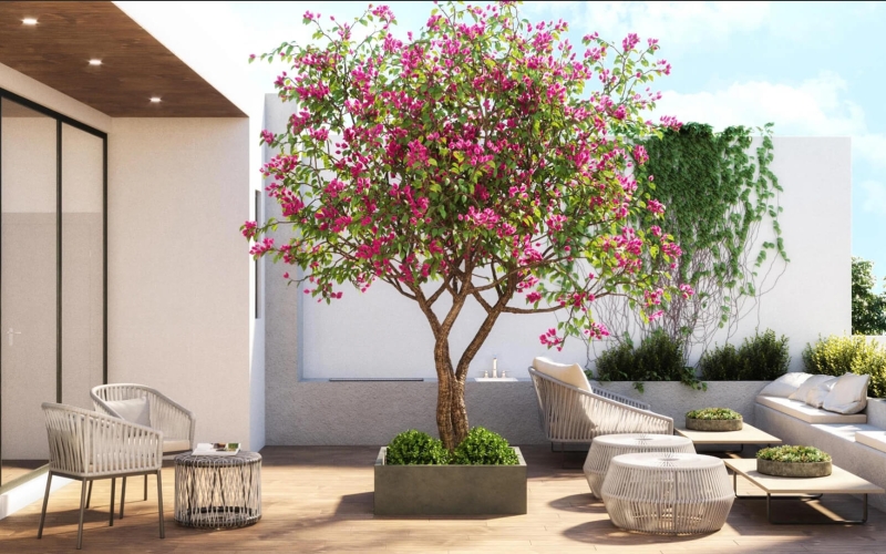 Condominium with Terrace, with maid&amp;#39;s room with bathroom, for sale, Polanco, Mexico City.