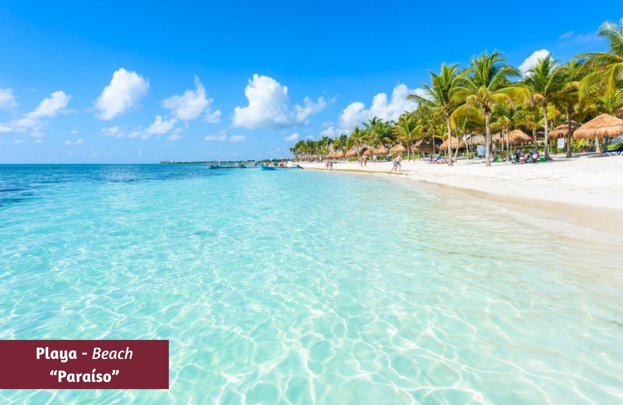 Land with clubhouse, private community surrounded by nature for sale Tulum.