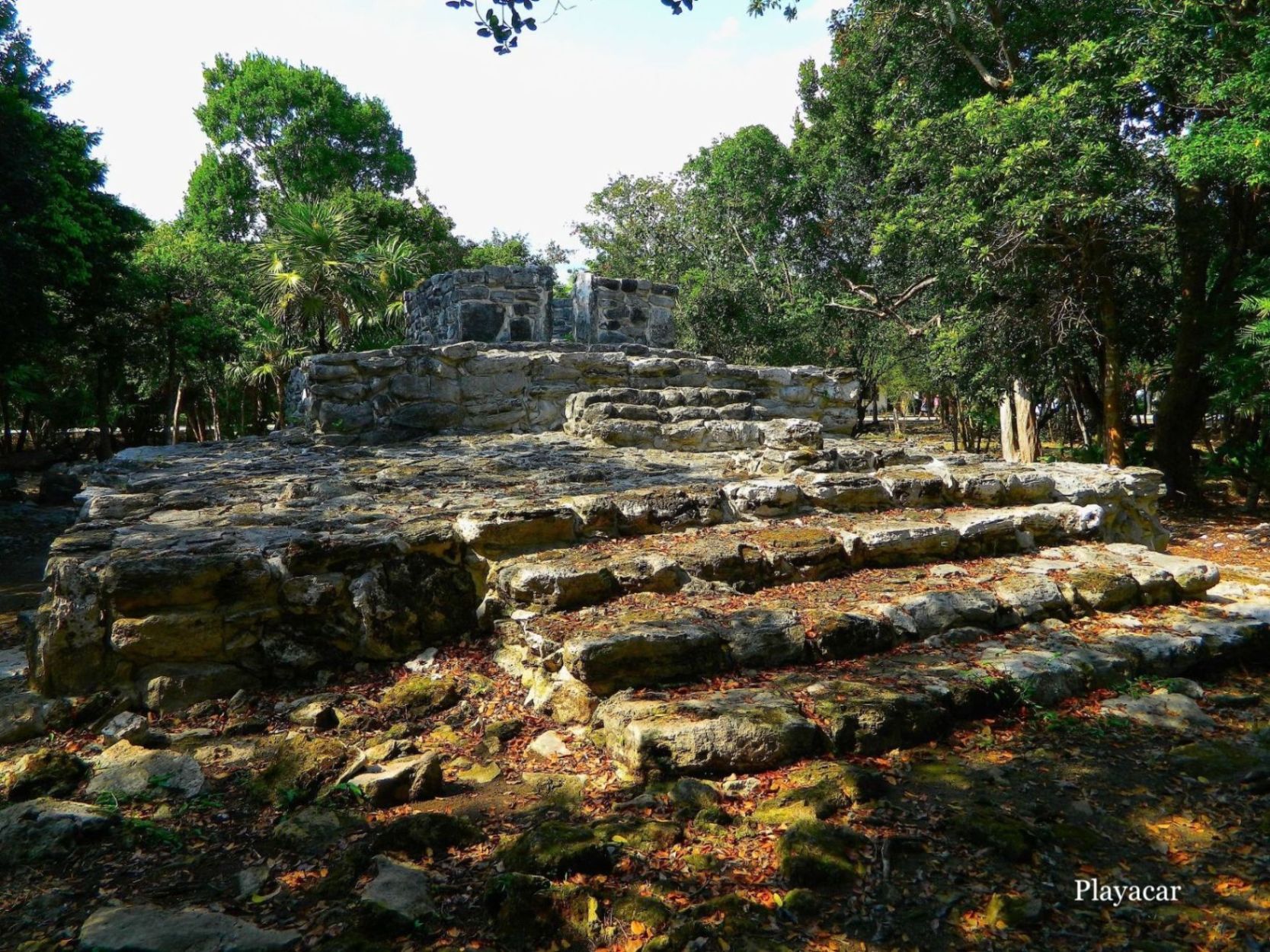 Condominium with cenote, pool, 400 meters from the beach, on the golf course, pre-construction-sale Playacar