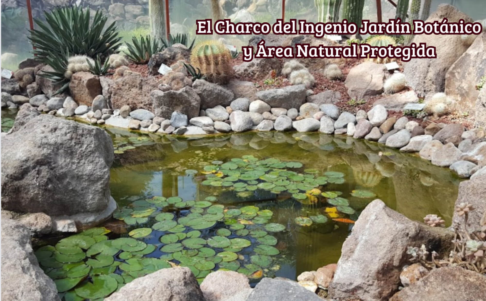 Ground floor condo with garden, clubhouse, pool and gym, sports fields and more, for sale, San Miguel De Allende.