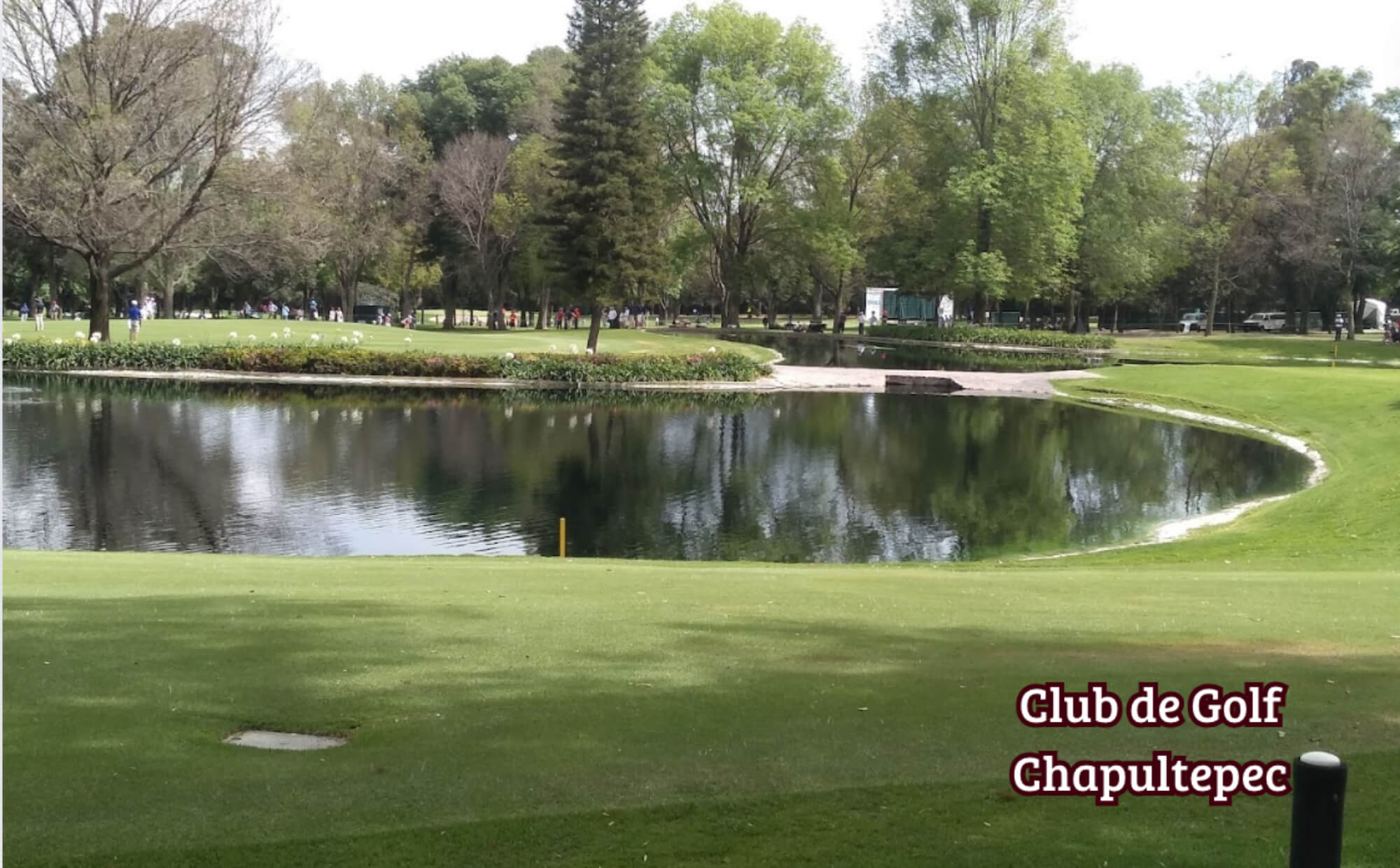 Departamento con alberca en &aacute;rea com&uacute;n, en venta, Santa Fe, CDMX