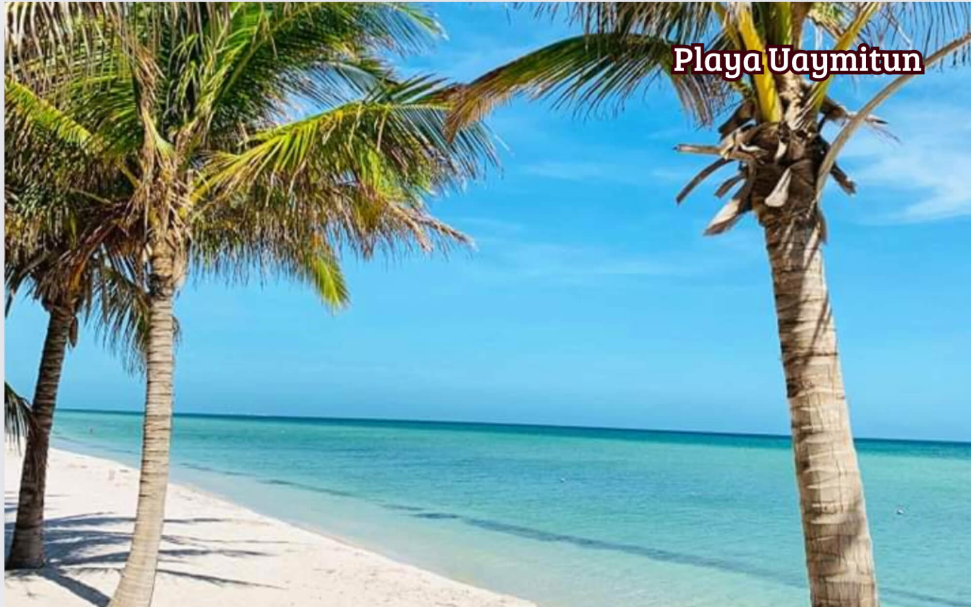 Penthouse with beach club, pool, gym, jogging track, barbecue area among many other activities, North Zone, M&eacute;rida