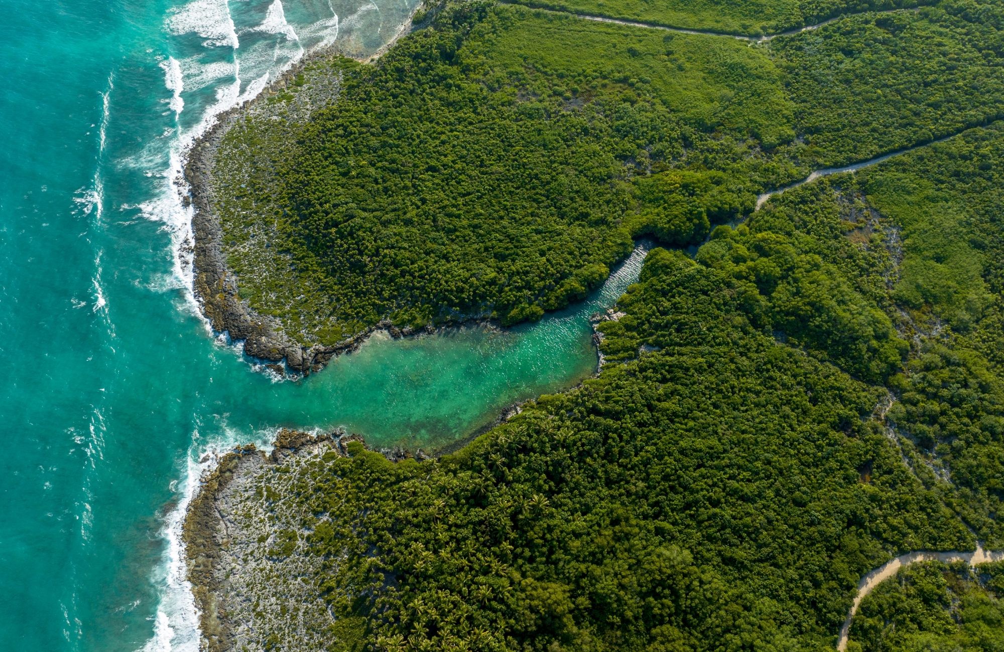 Ground floor condo, private pool, lock-off, pre-construction, Region 15, Tulum.