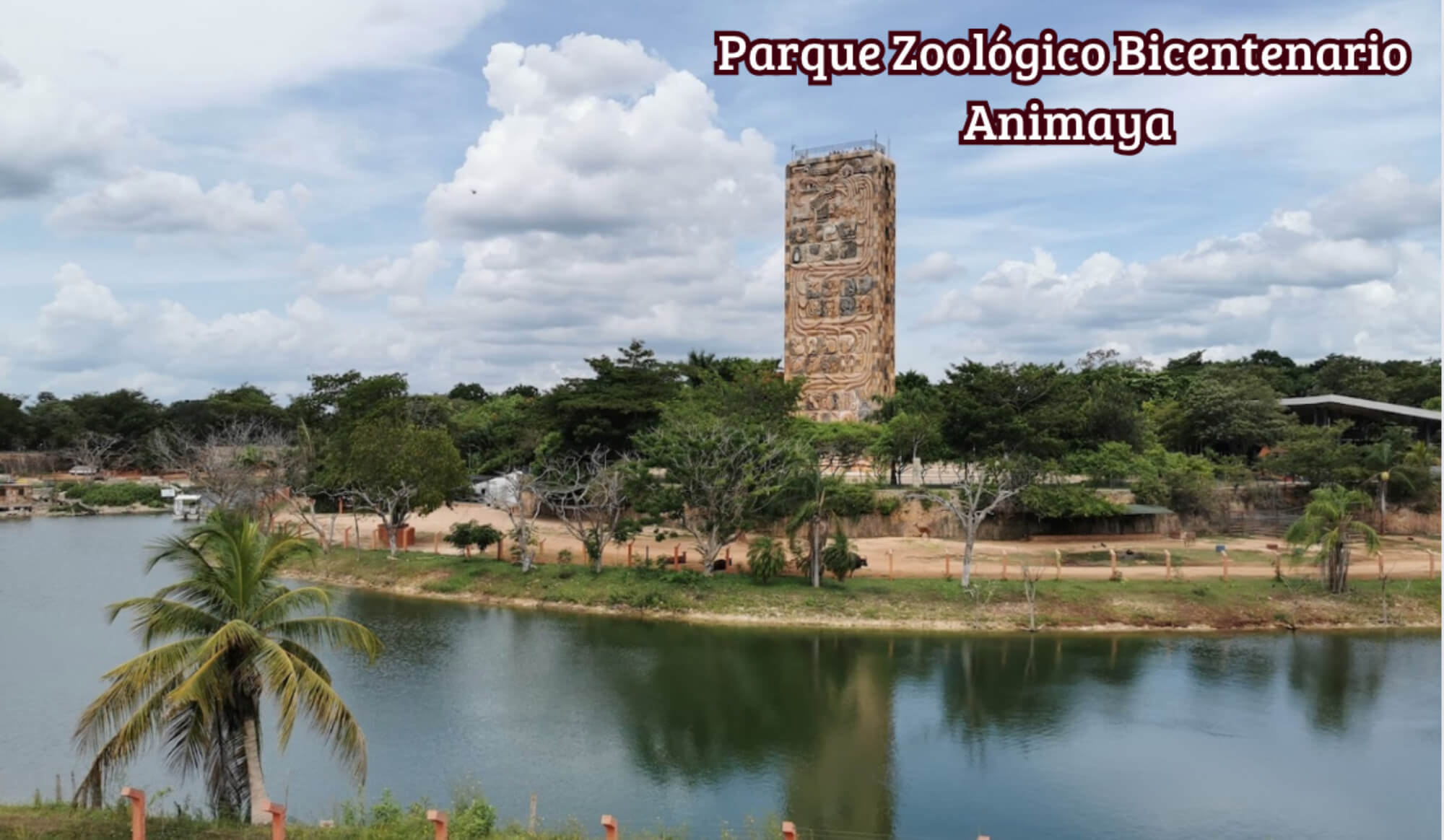 Apartment with garden, pool, Zen terrace, for sale, M&eacute;rida.