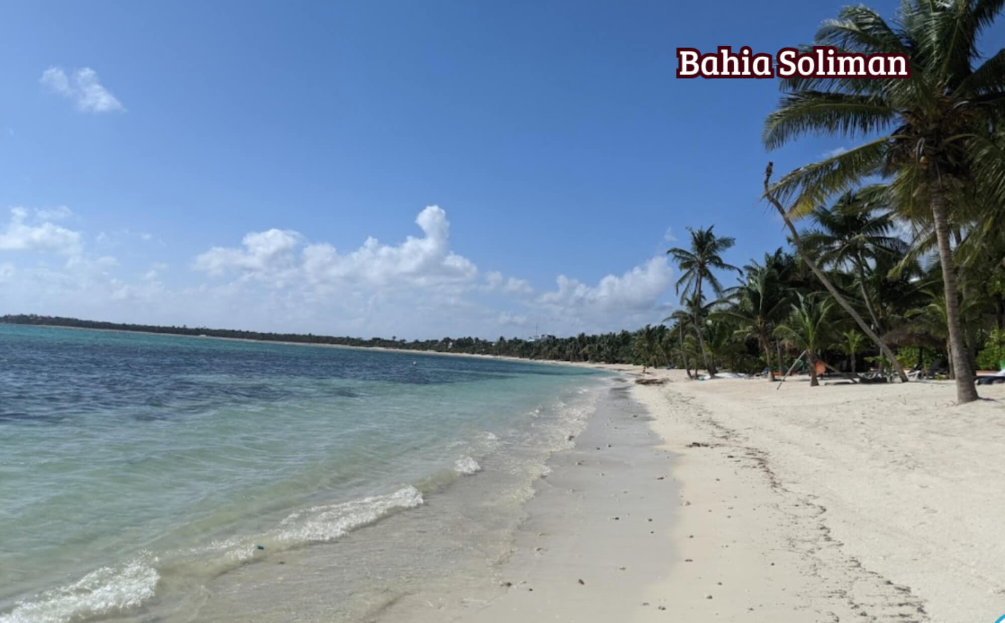 Departamento con acceso directo a la alberca (swim up), areas comunes rodeadas de naturaleza, cerca de la playa en Tulum, venta.