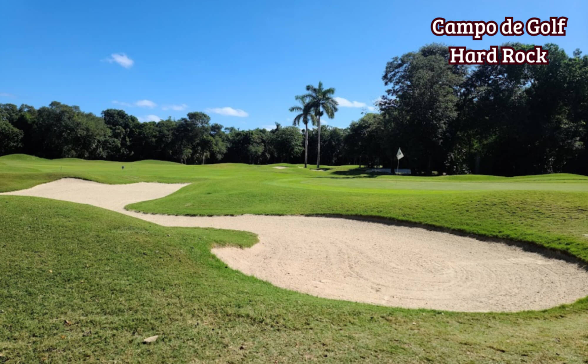 Turn-Key Studio with Ocean View Rooftop, Prime Downtown Playa del Carmen