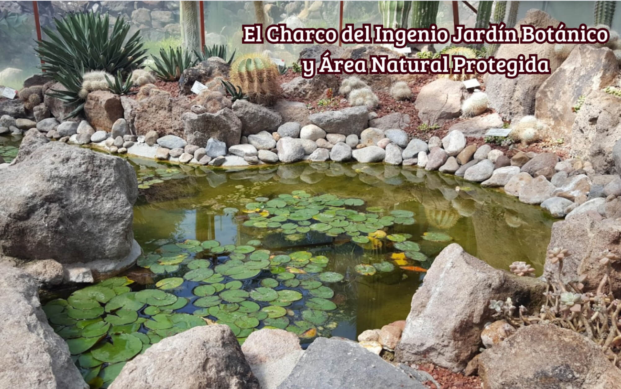 House with Garden and Pool, Pre-construction, Atotonilco, San Miguel de Allende