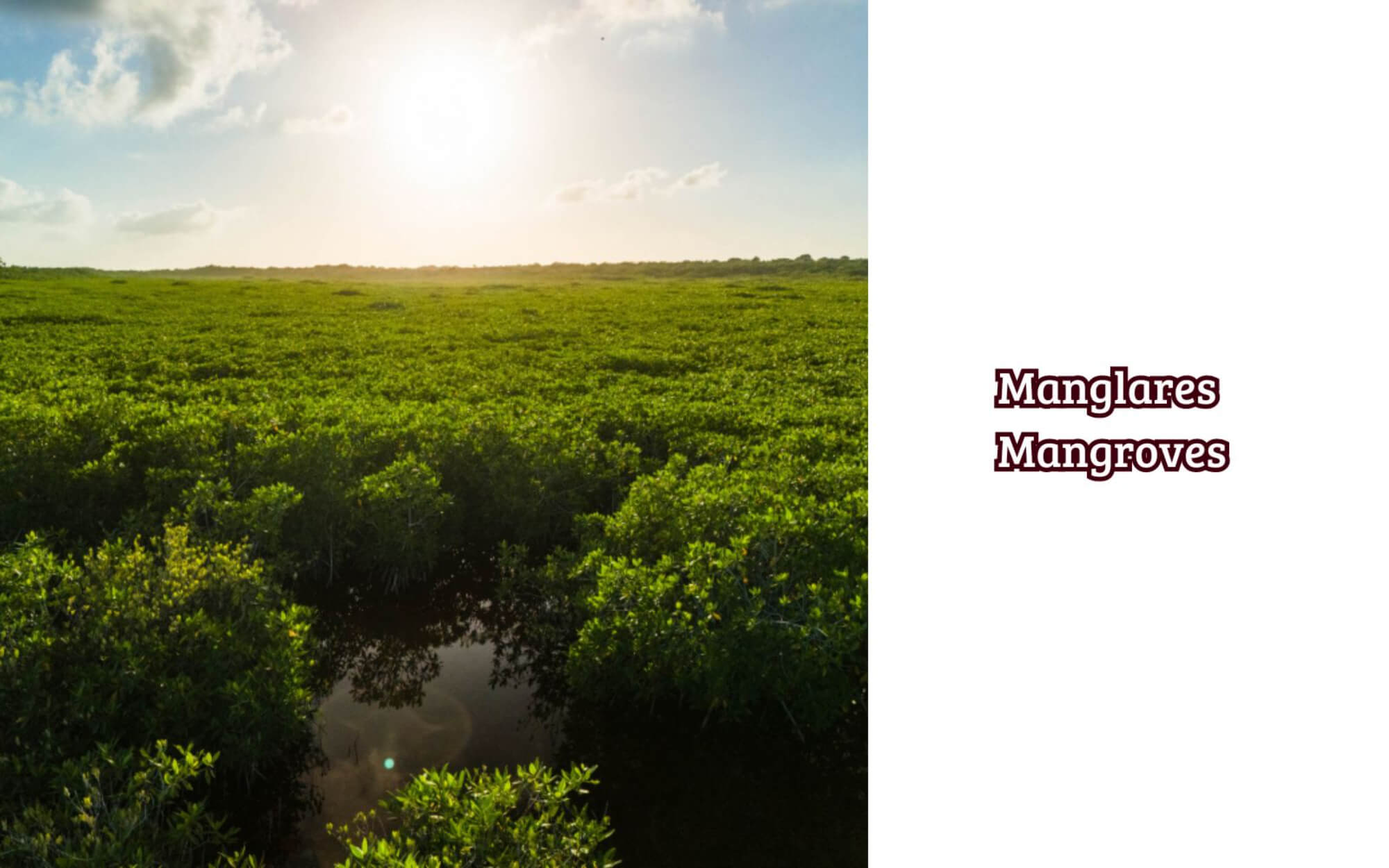 Exclusive condominium, beach club, golf course, for sale, Playa del Carmen