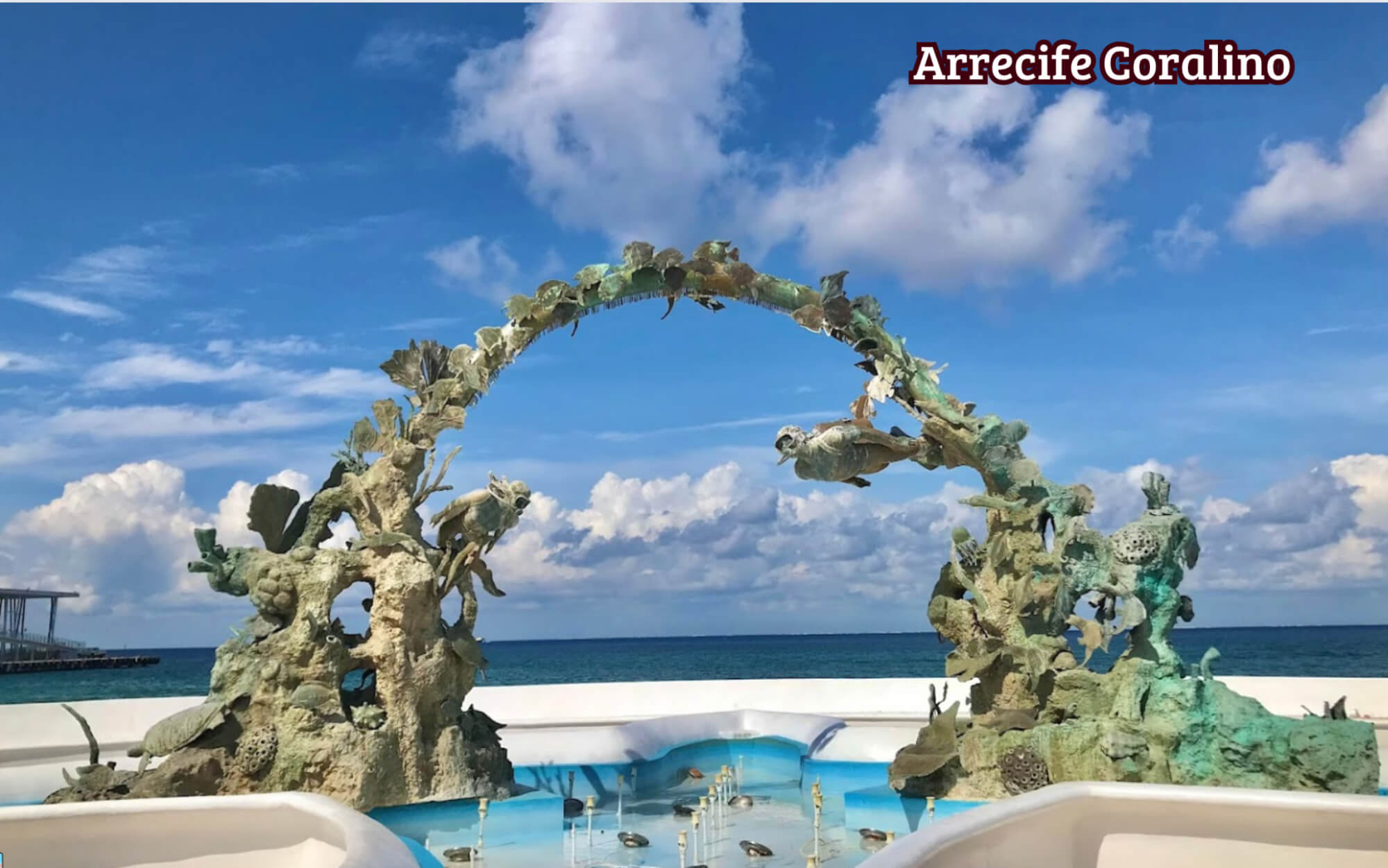 Rooftop with ocean view pool, 3 bedroom condo for sale in Cozumel