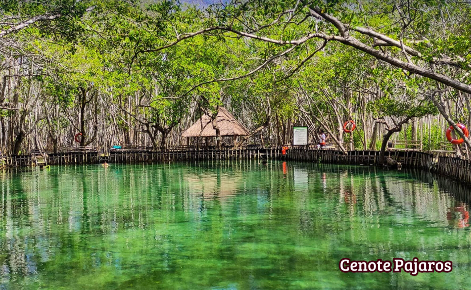 Luxury oceanfront condo for sale, Chuburn&aacute;, Yucat&aacute;n