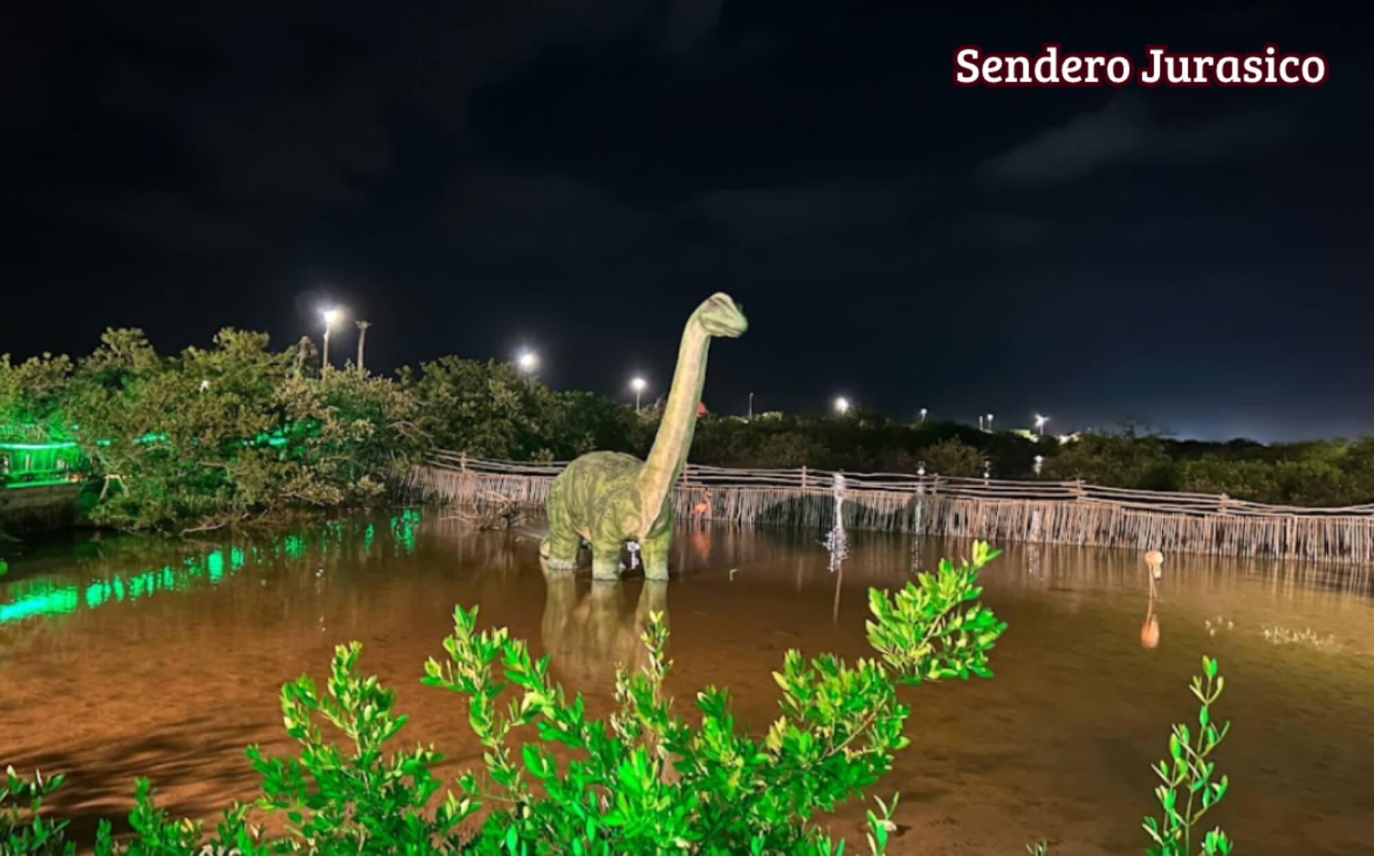 Luxury oceanfront condo for sale, Chuburn&aacute;, Yucat&aacute;n