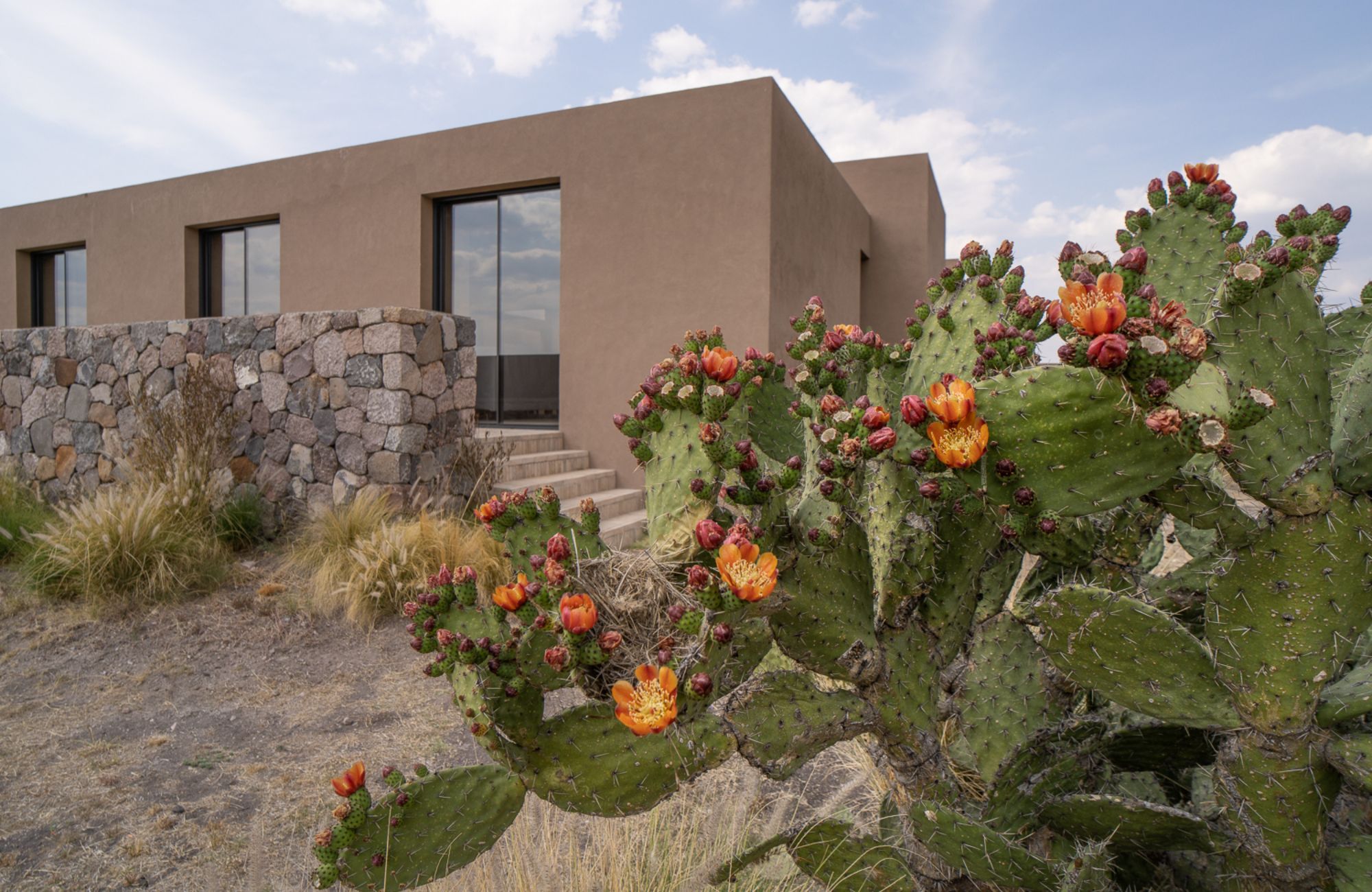 House with sauna,  jacuzzi, garden, terrace for sale in San Miguel de Allende.