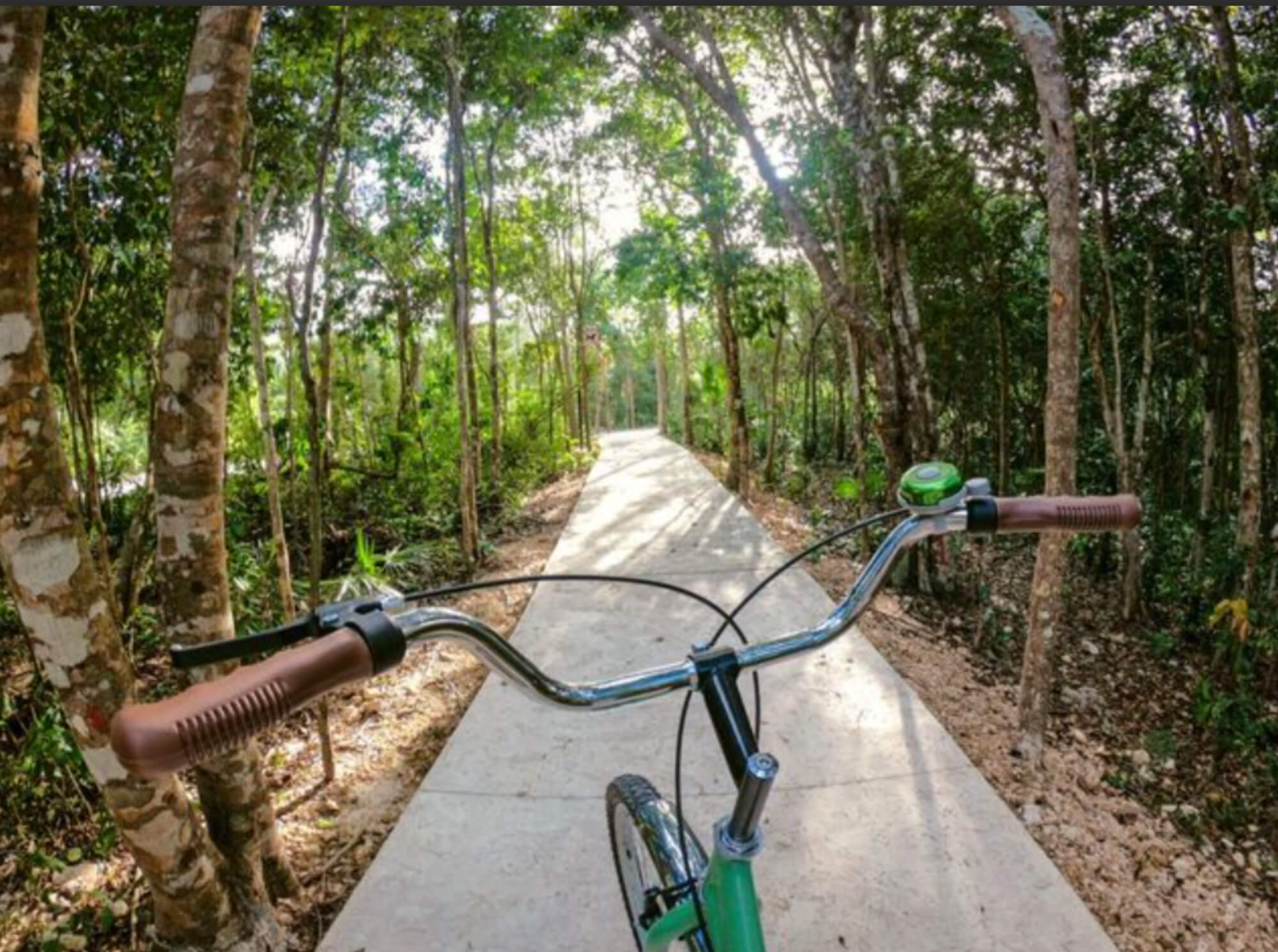 Luxury Pre-Sale House with Garden and Private Pool, Senderos Mayakoba, Playa del Carmen