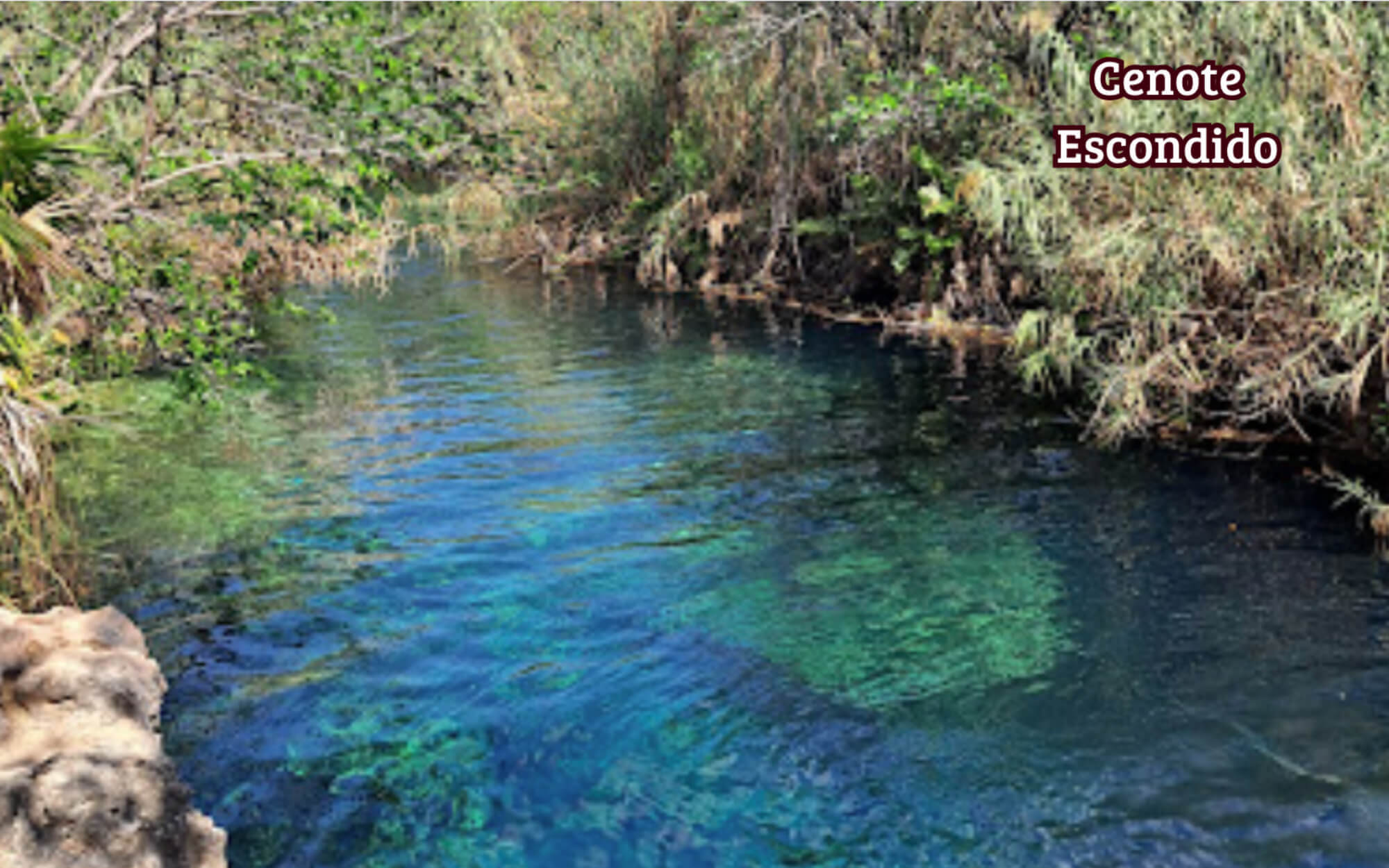 Land in gated community, REDUCED PRICE  with beach club, PGA golf course, clubhouse, and hotel services: gym, spa, restaurants. hotel