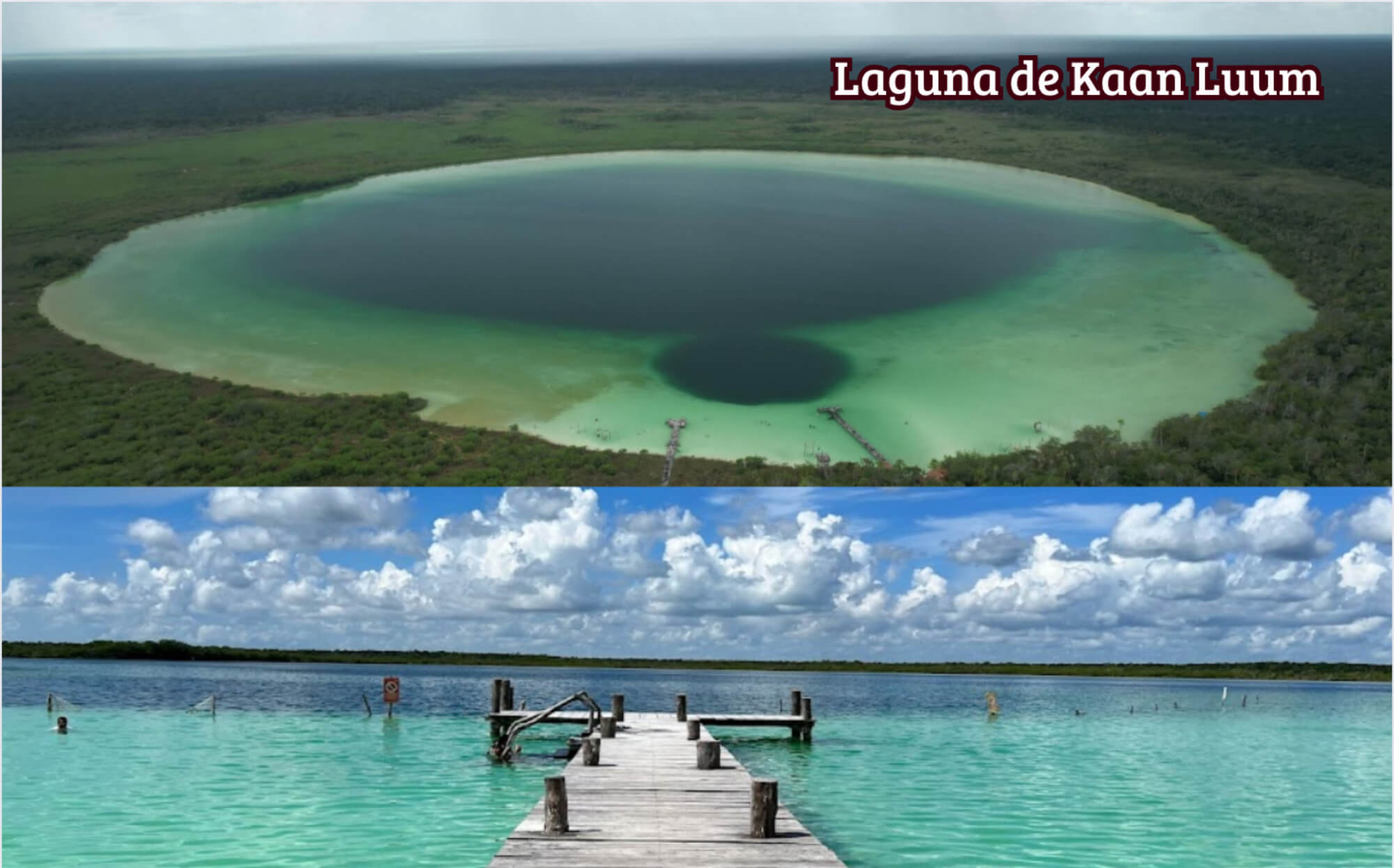 Land for single-family and multi-family vertical use, for sale in Tulum.