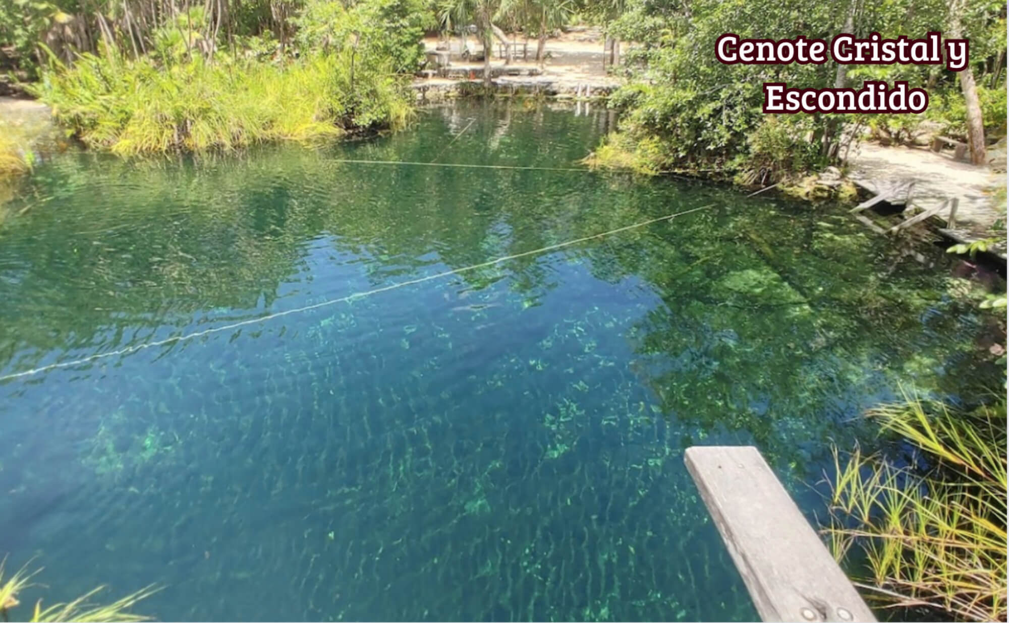 Land for single-family and multi-family vertical use, for sale in Tulum.