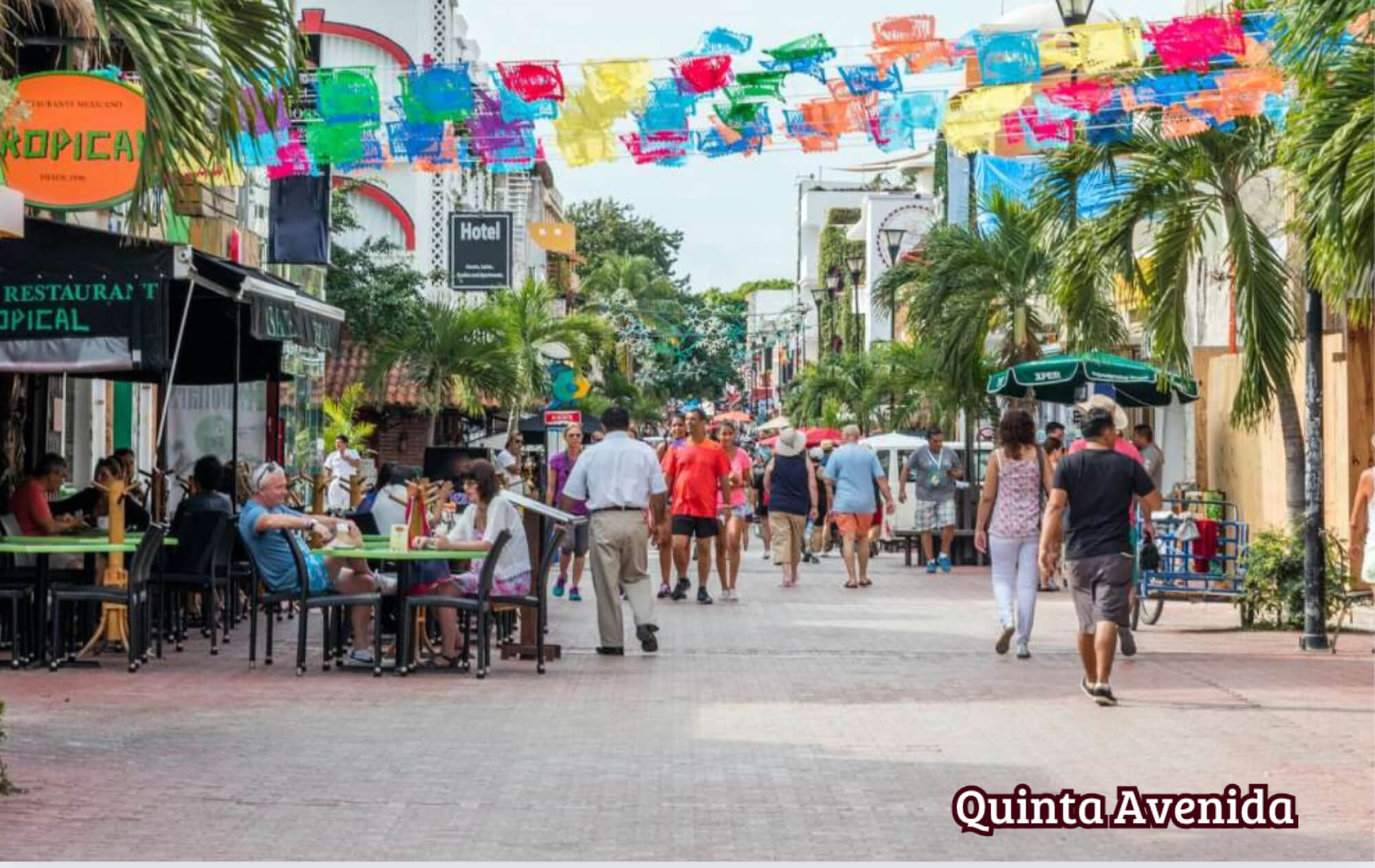 Apartment with pool, pet park for sale in Playacar, Playa del Carmen.