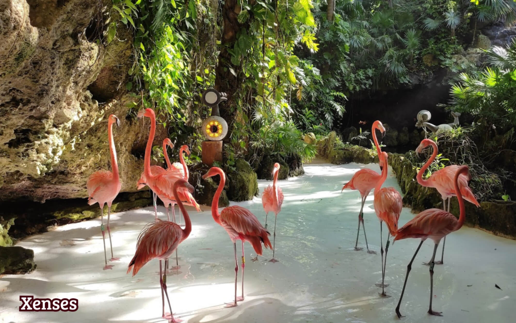 Terreno uso Residencial, en venta, Carr. Federal Canc&uacute;n-Tulum, Playa del Carmen