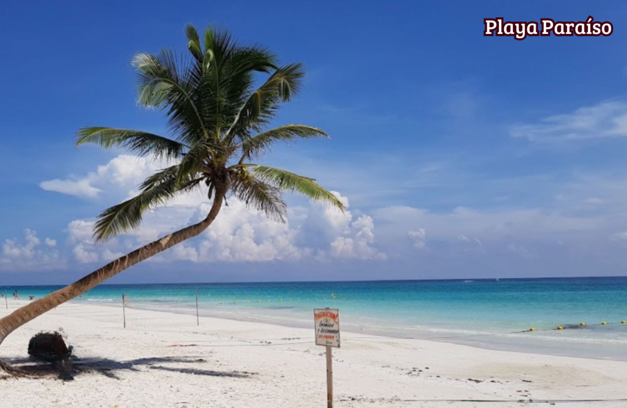 One-Bedroom Penthouse with Luxury Amenities in La Veleta, Tulum.