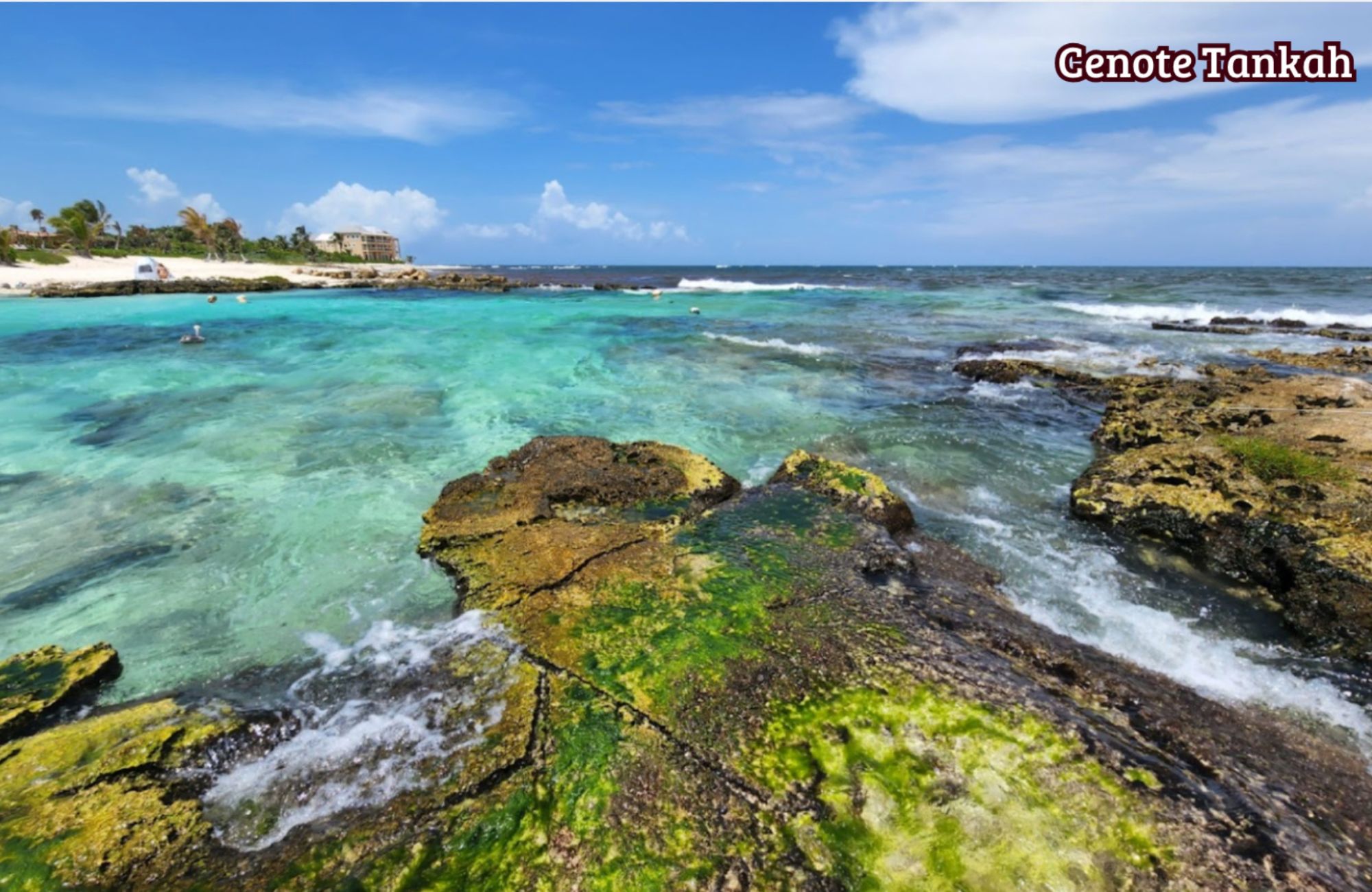 One-Bedroom Penthouse with Luxury Amenities in La Veleta, Tulum.
