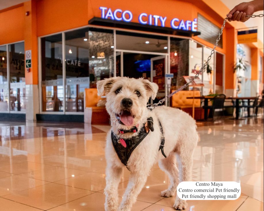 Single-family lot available in Los Almendros Residential, Playa del Carmen.