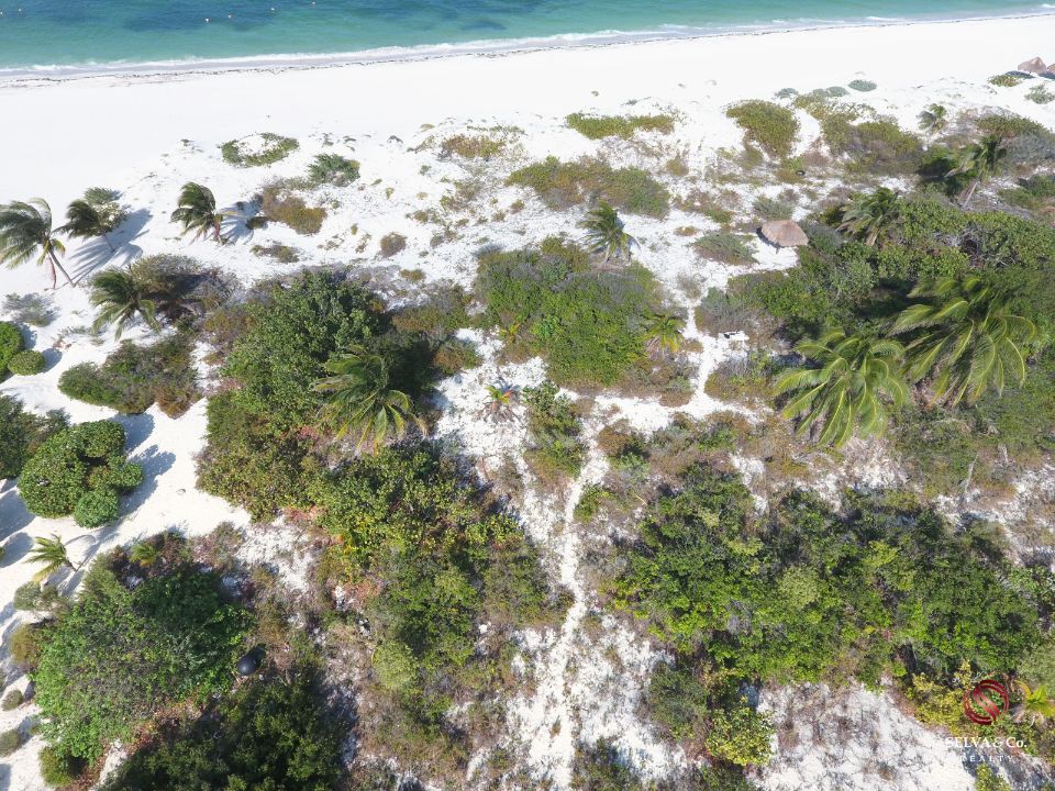 Lote de lujo frente al mar, en Residencial privado, venta, Playa Mujeres, Canc&uacute;n.