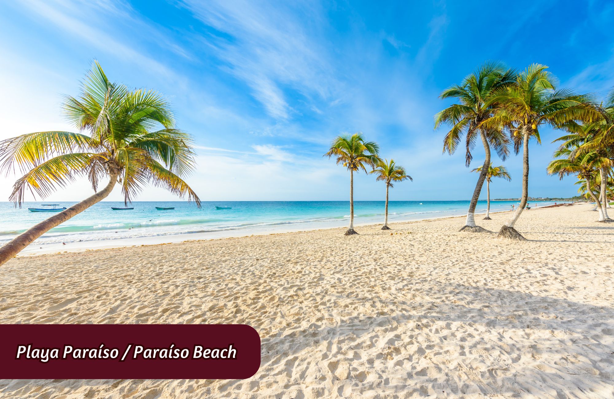 1 bedroom condo in the most exclusive and natural area of Tulum