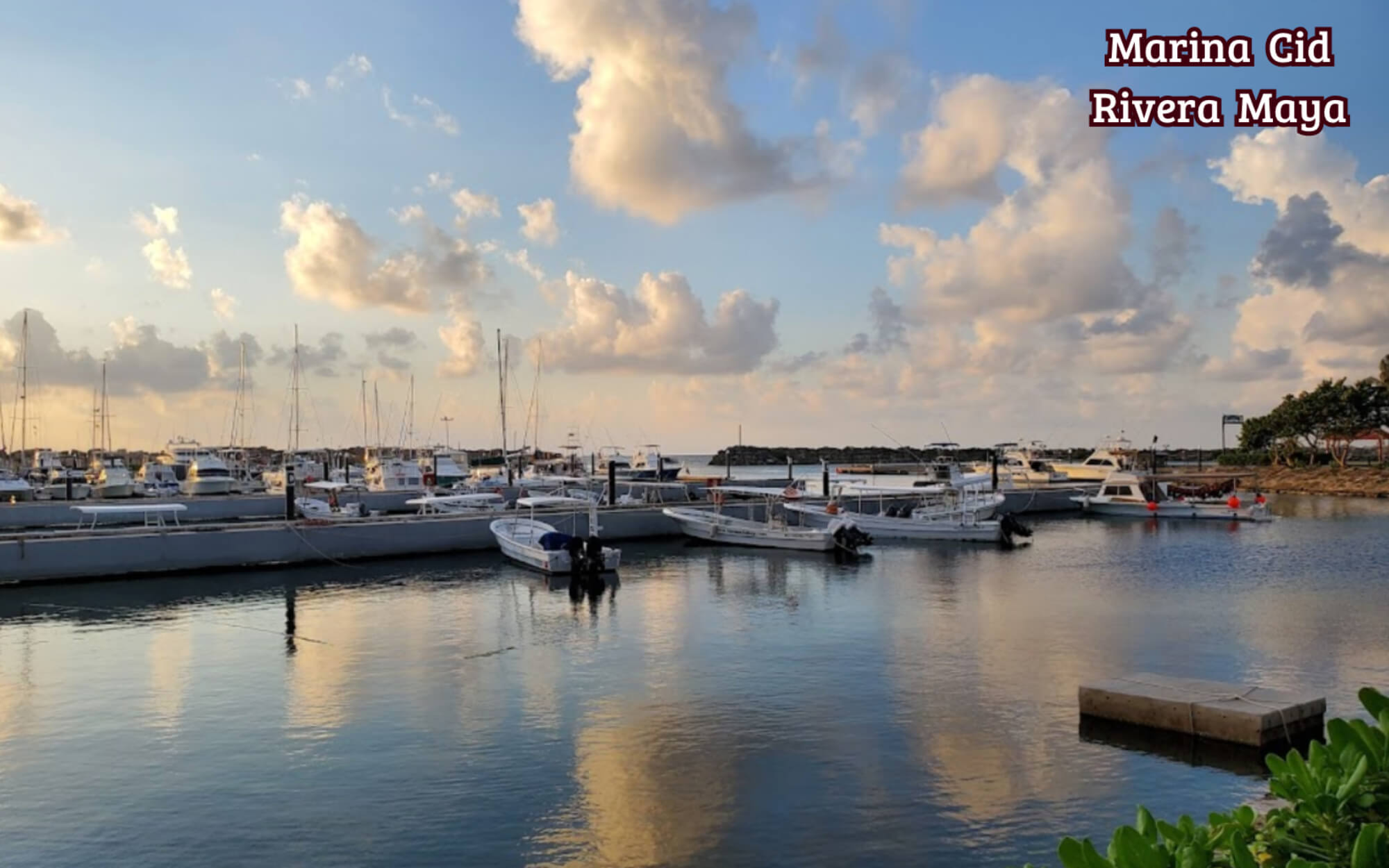 Estudio con vista al manglar, planta baja, en venta, Frente al mar, Puerto Morelos