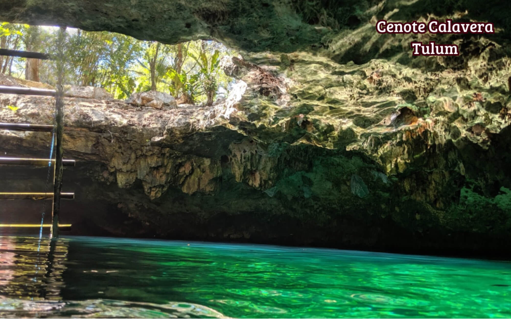 Condo with garden, pool and sports center.