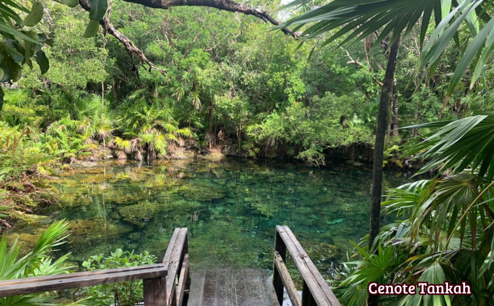 Condominium with private pool, common oceanview rooftop, for sale, Region 8, Tulum.