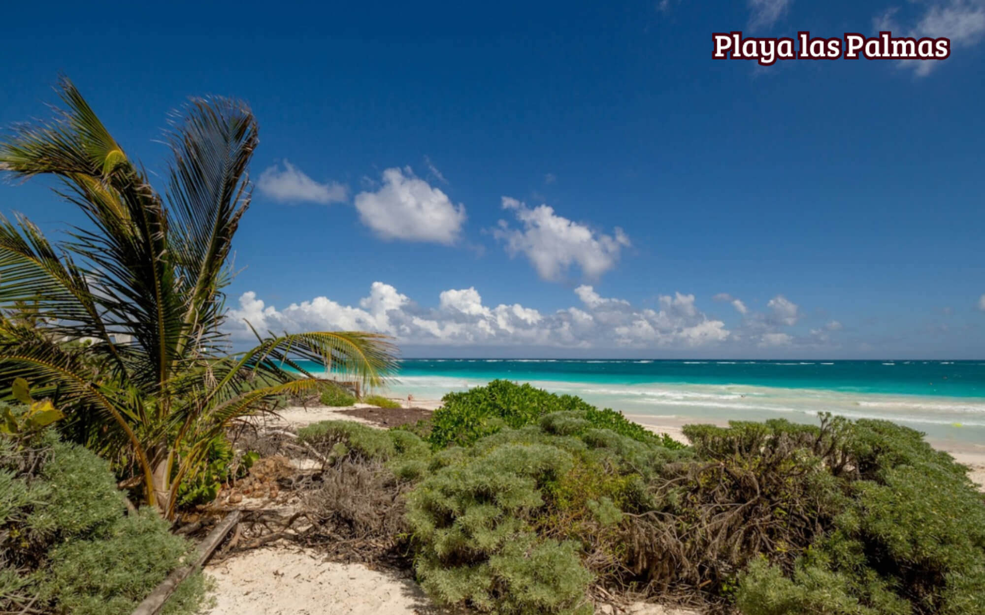 Multifamily land of 2,516 m2 in a luxury residential area for sale, Region 11, Tulum.
