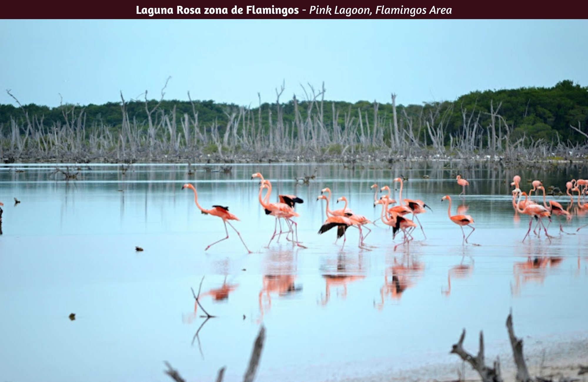 Departamento en venta con vista al campo de golf y lago, en Yucatan Country Club, venta M&eacute;rida.