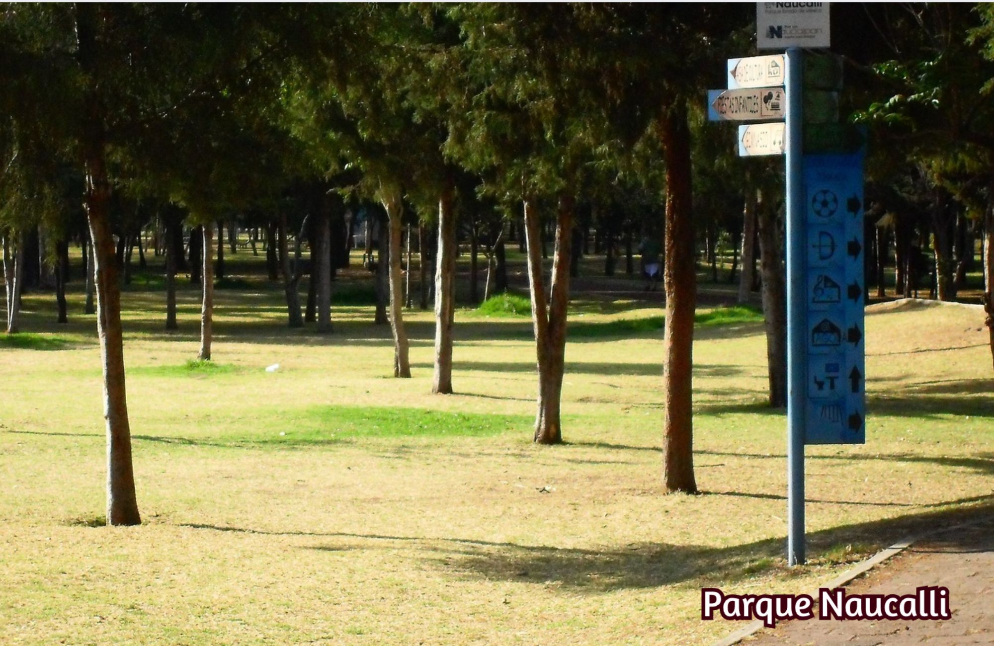 Condo with private balcony, shared rooftop garden for sale, Polanco, Mexico City