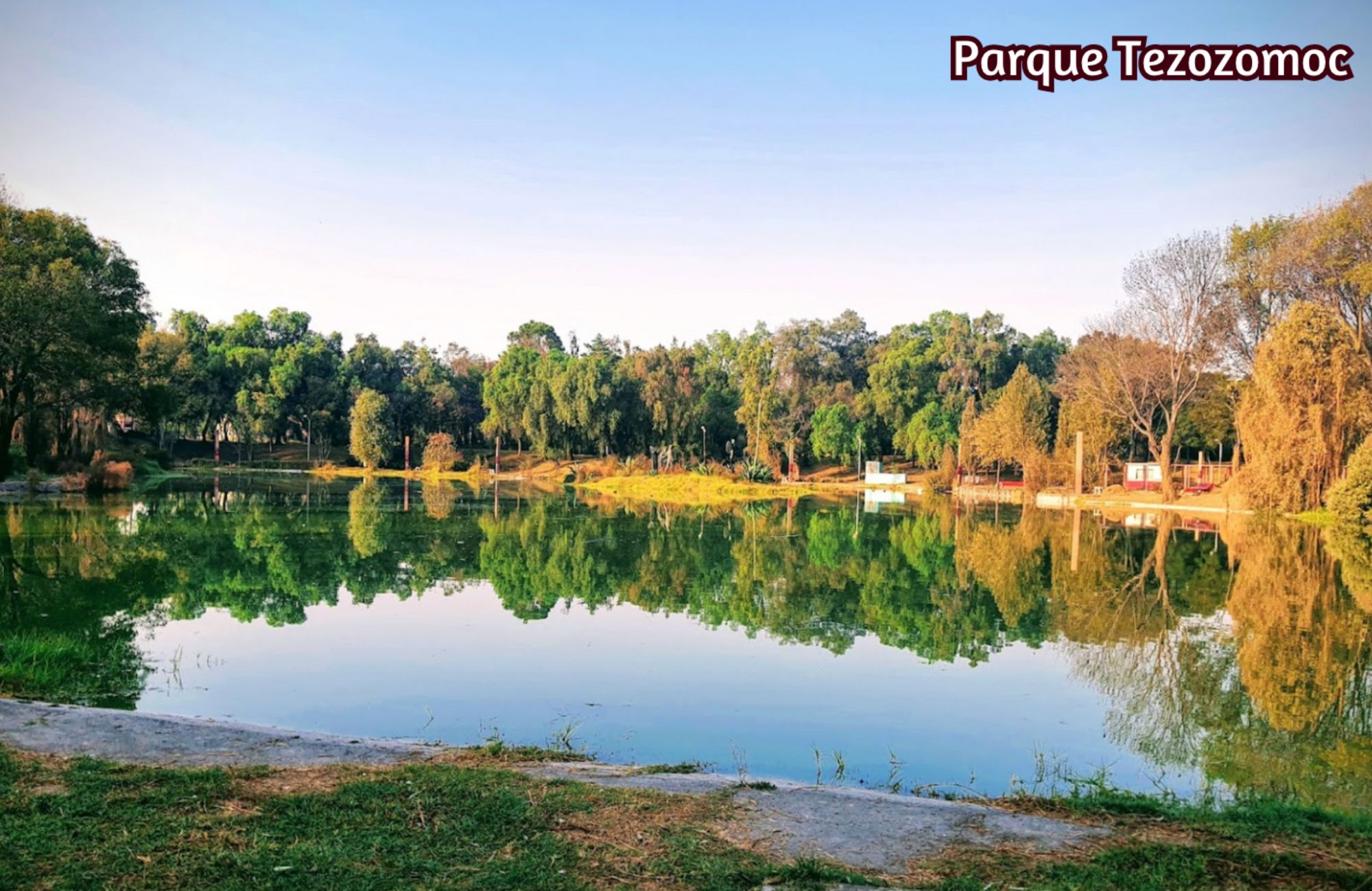 Condo with private balcony, shared rooftop garden for sale, Polanco, Mexico City